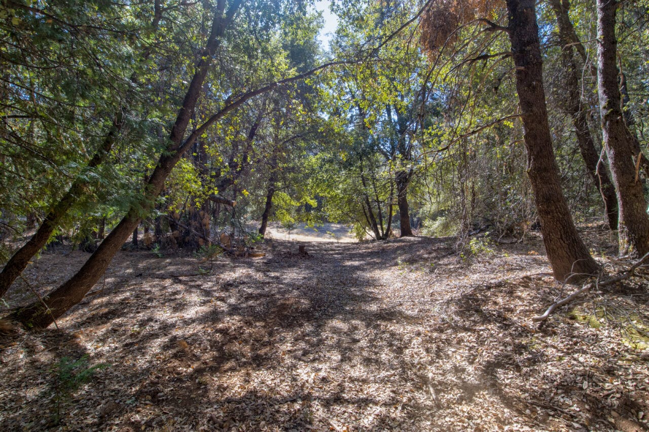 Listing Image 60