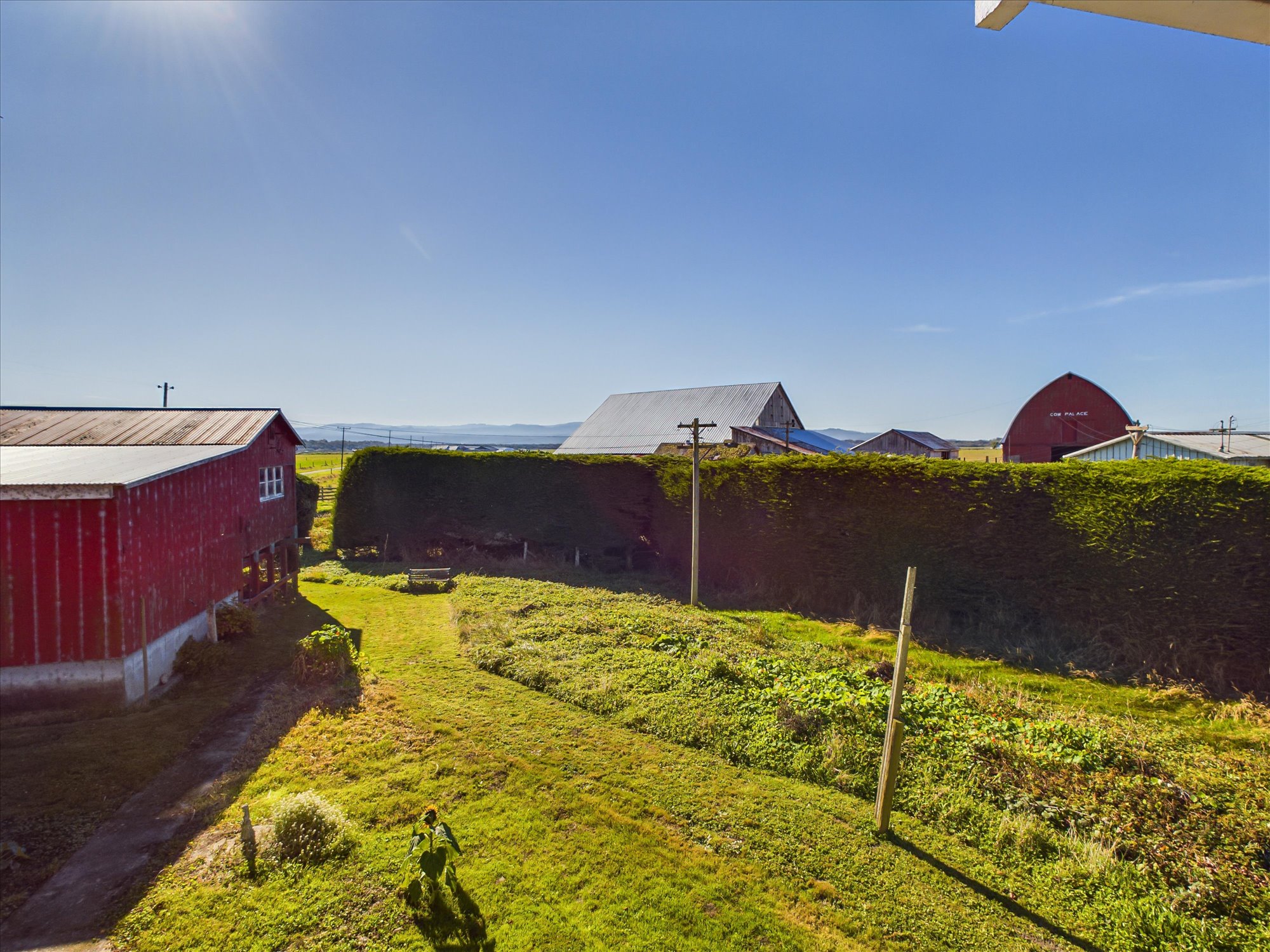 Listing Image 23