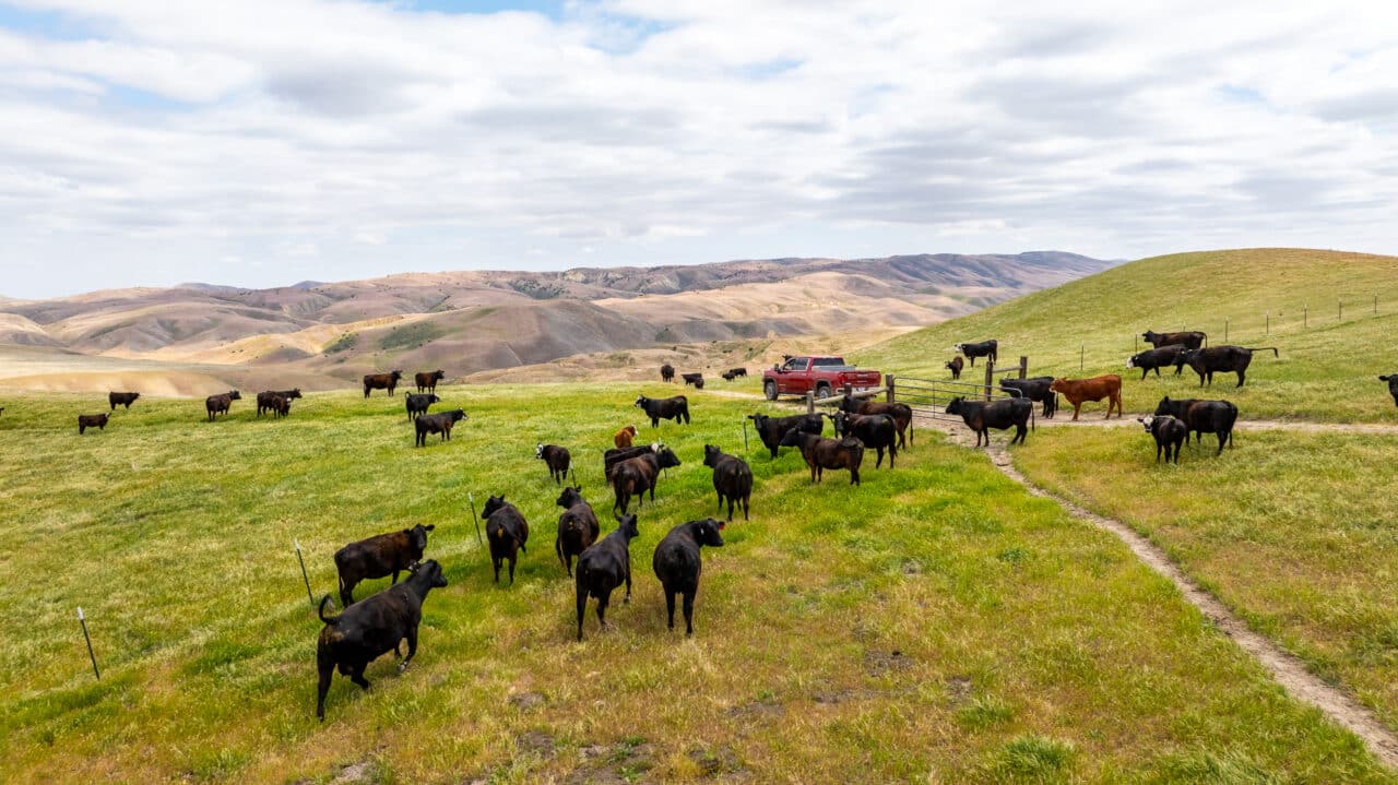 Pritchard Sumner Ranch