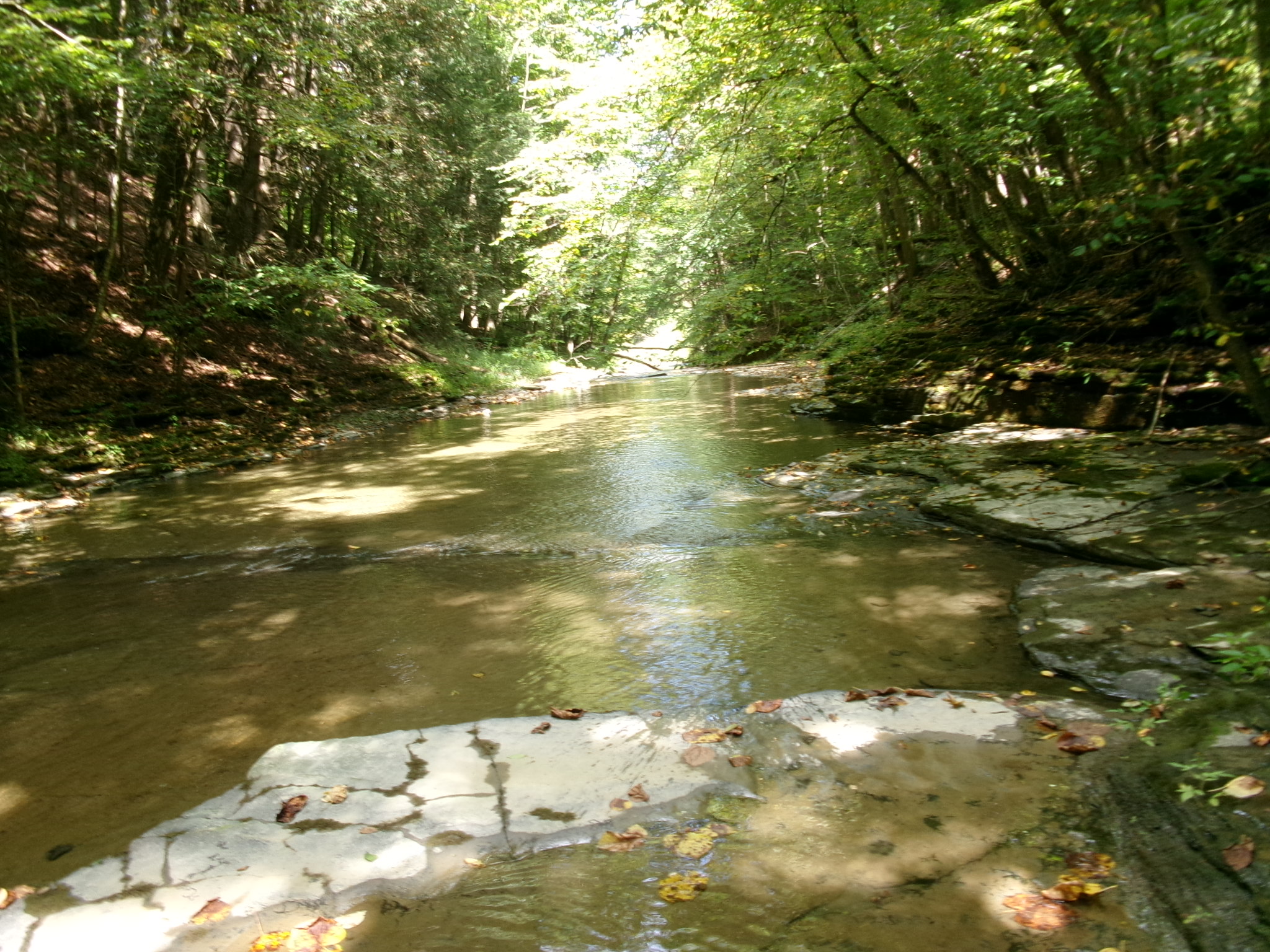 Listing Image 41