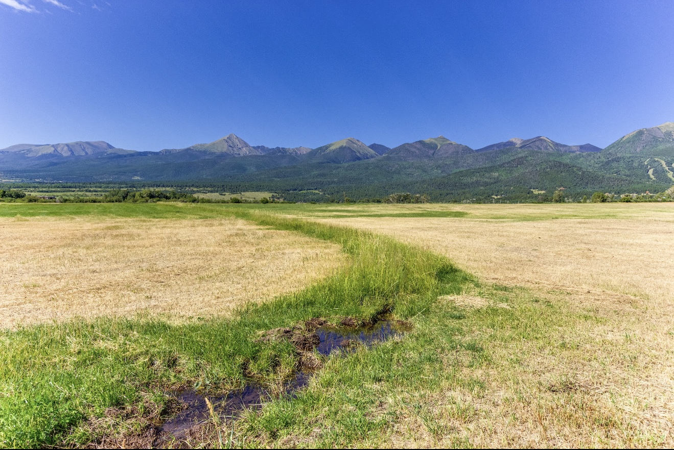 1290 Hill Country Road