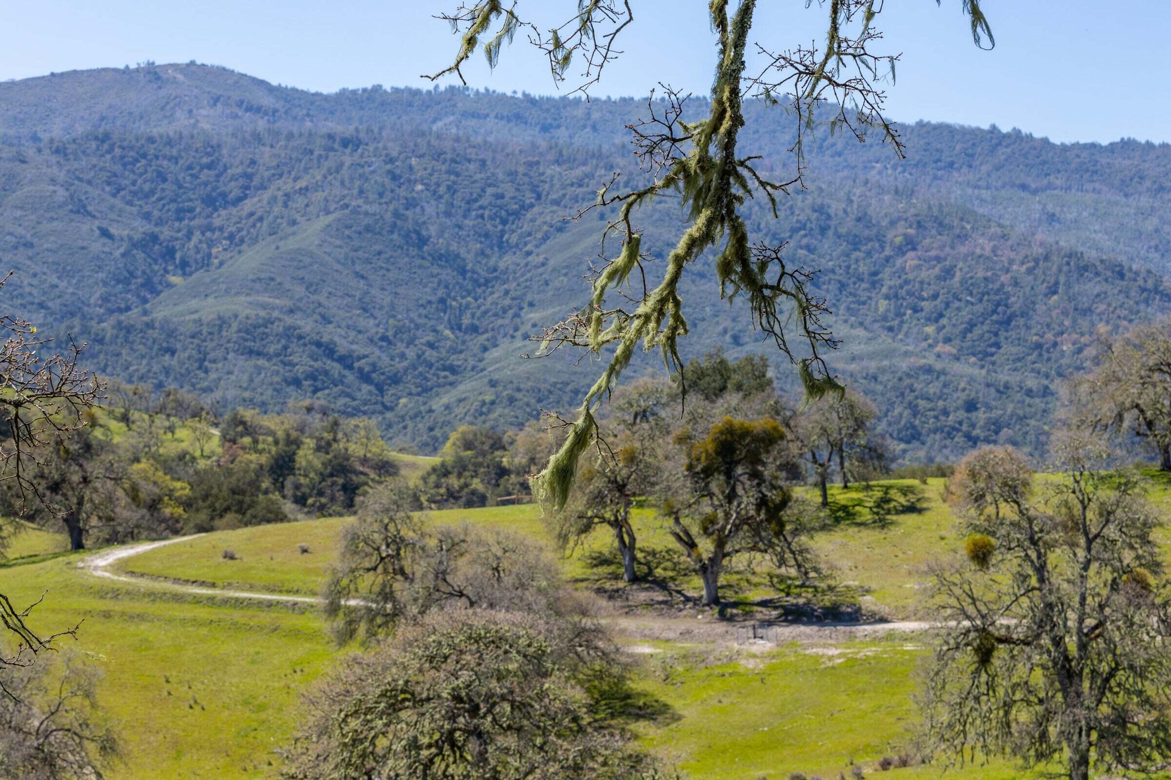 Palo Escrito Ranch