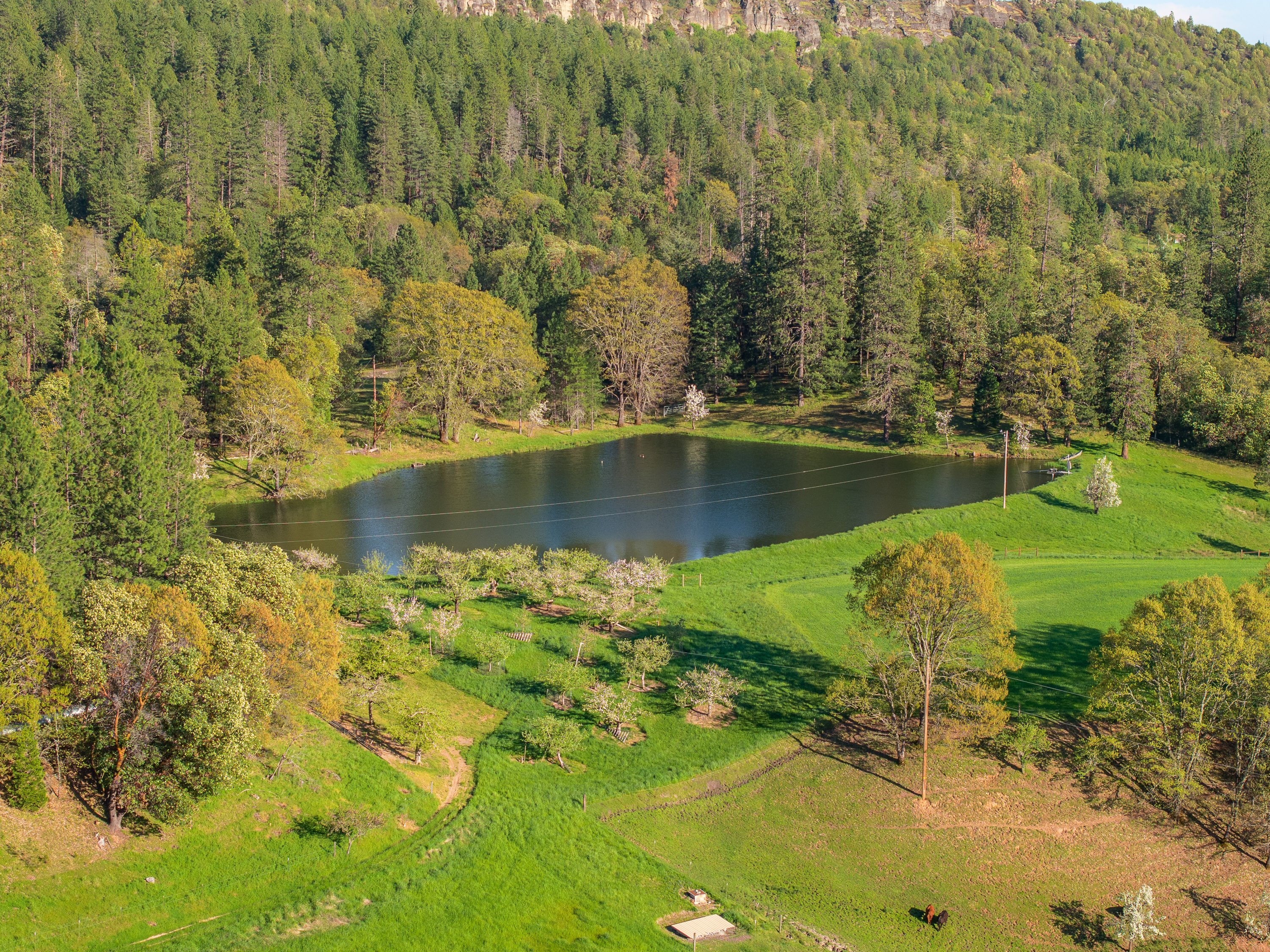 Meyer Ranch - 12310 Ramsey Road