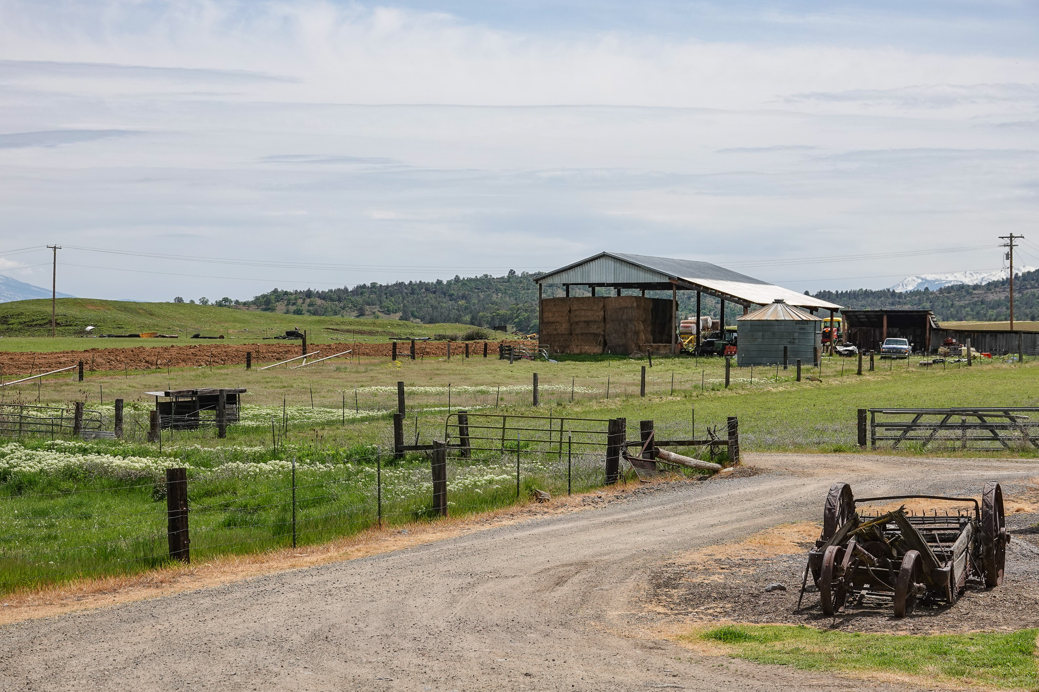 Lorenzini Ranch