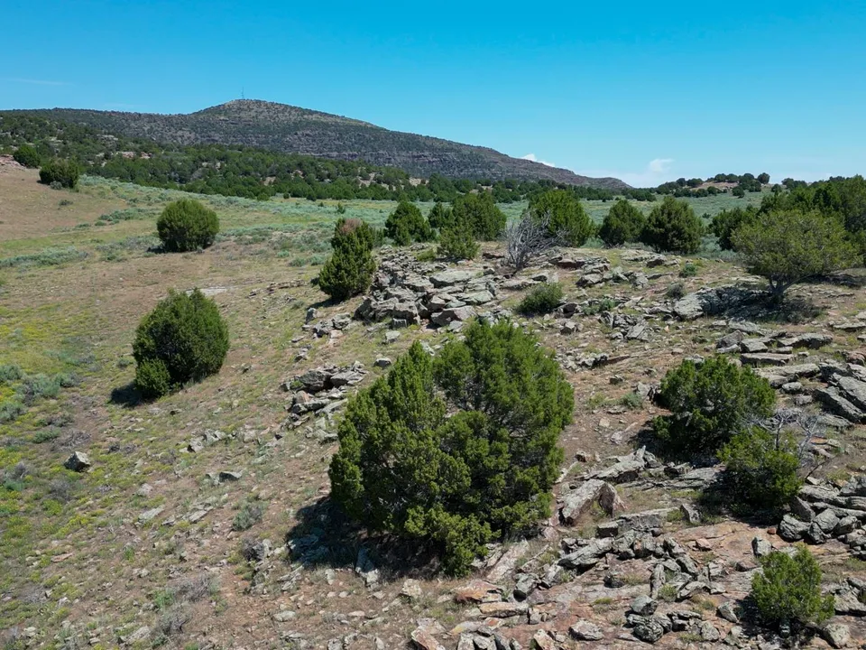 Maybell Grazing & Big Game Ranch