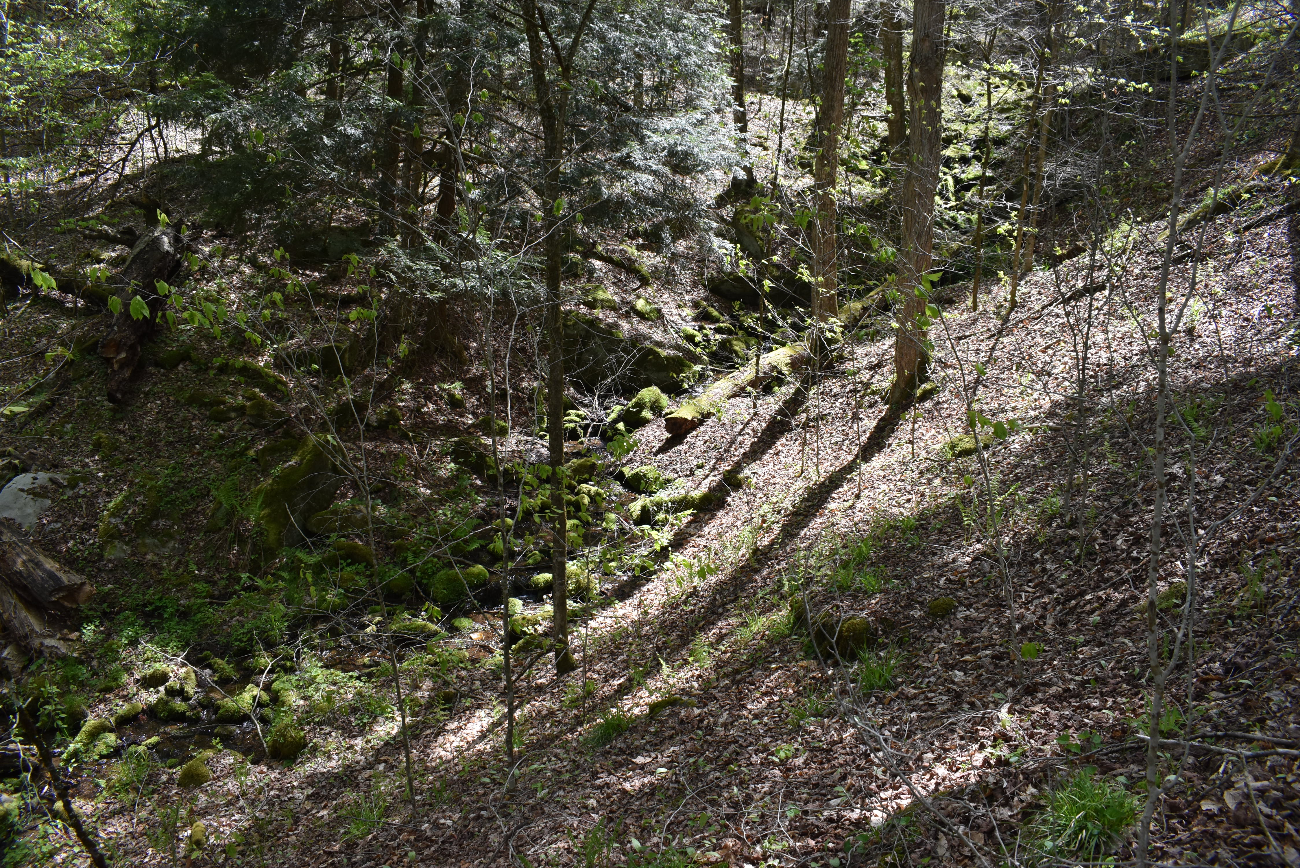 Listing Image 25