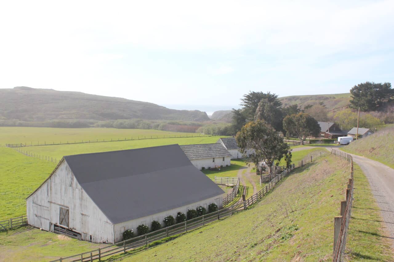 Listing Image 6