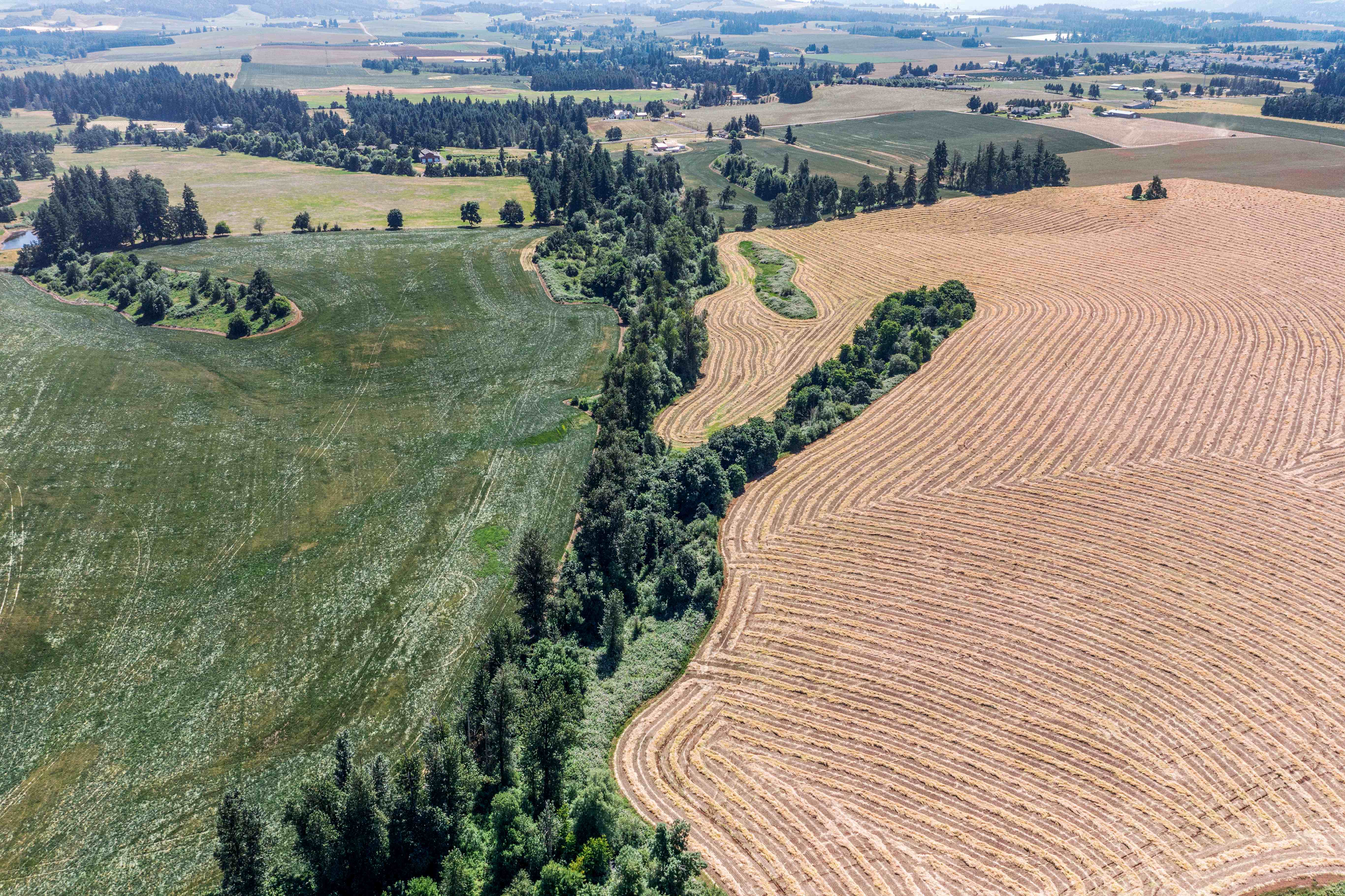Sublimity 152 — Productive Willamette Valley Farm for Sale with Creek Frontage and Homesite Potential
