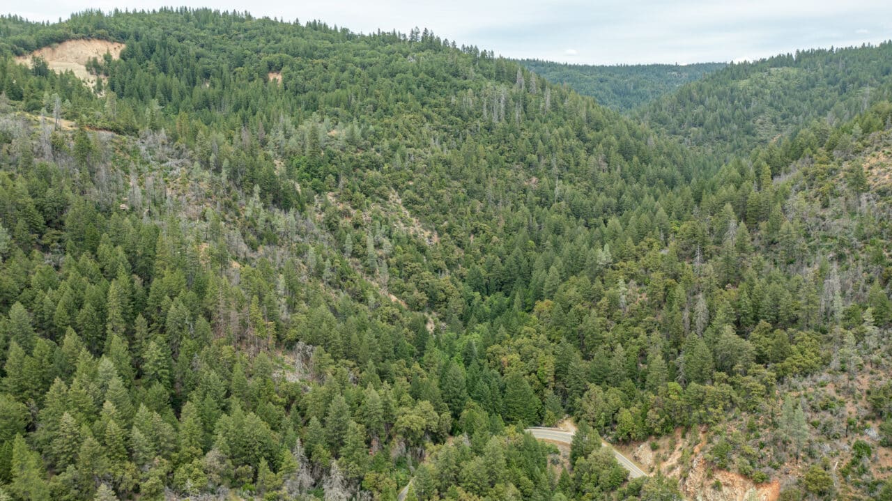 Foresthill Divide
