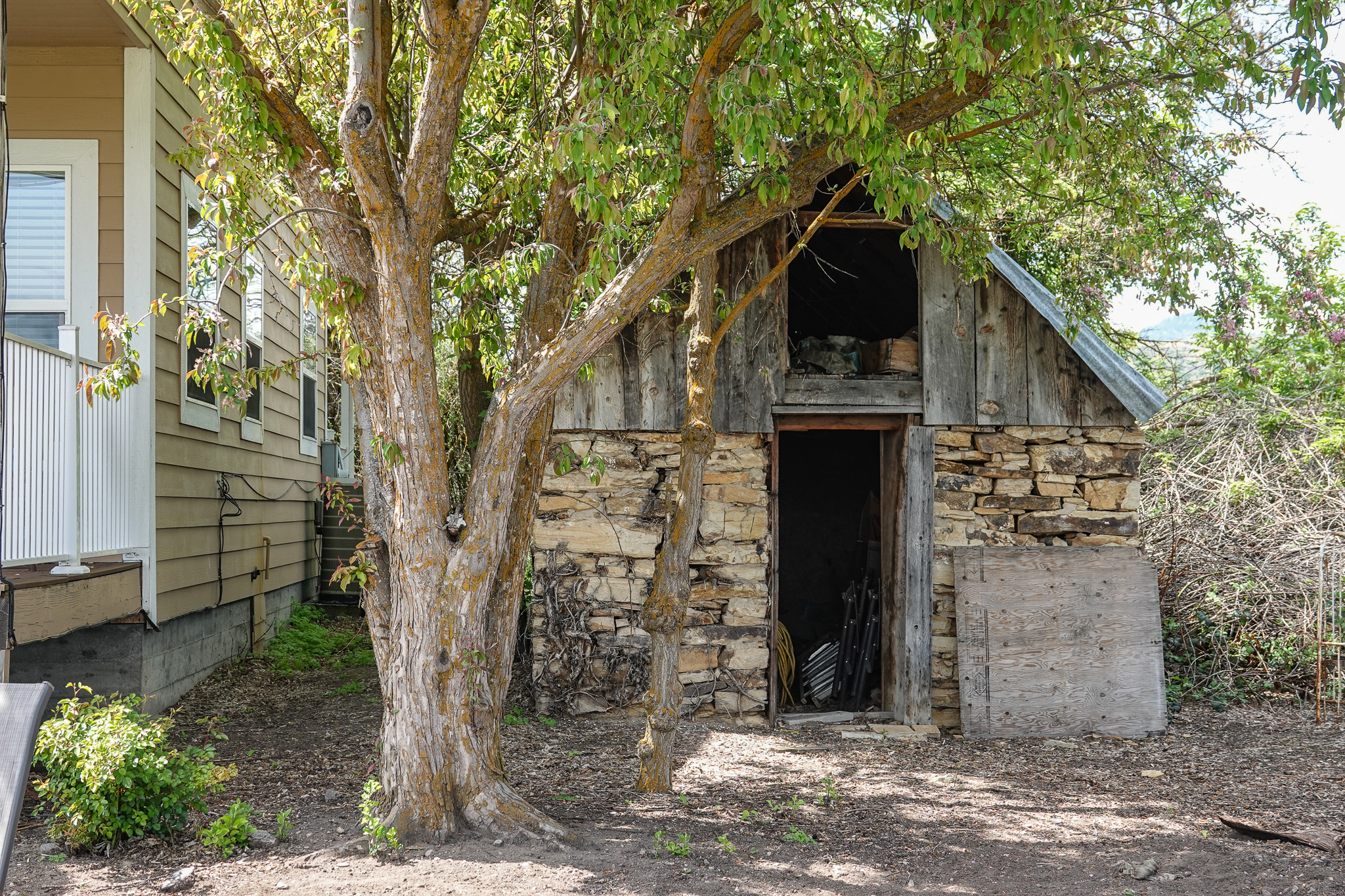 Lorenzini Ranch