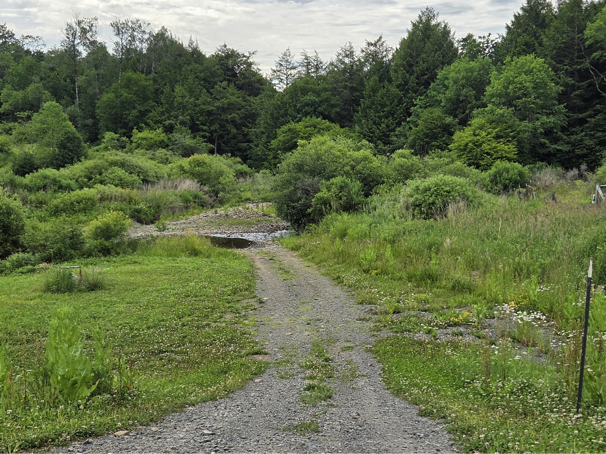 Listing Image 46
