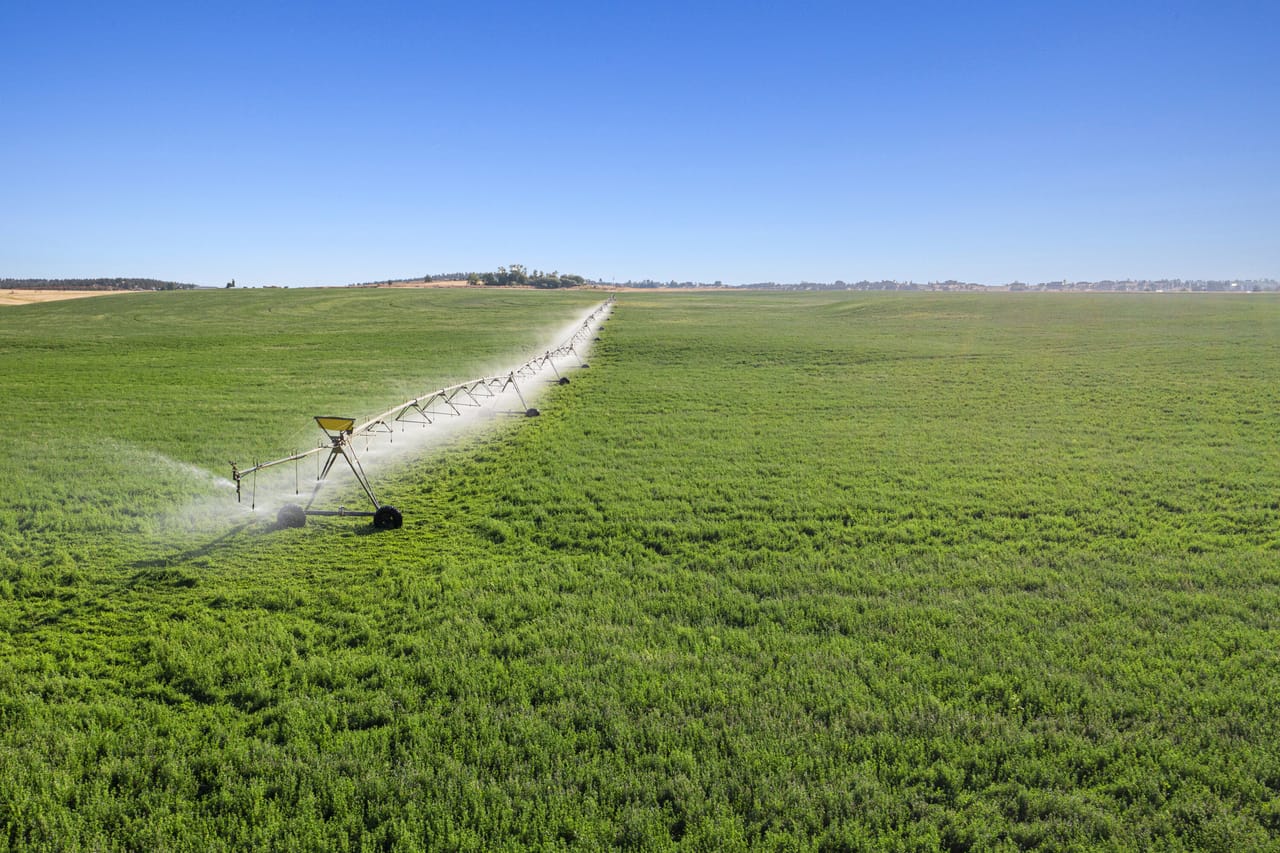NE Cherry Lane - Productive Irrigated Farm for Sale