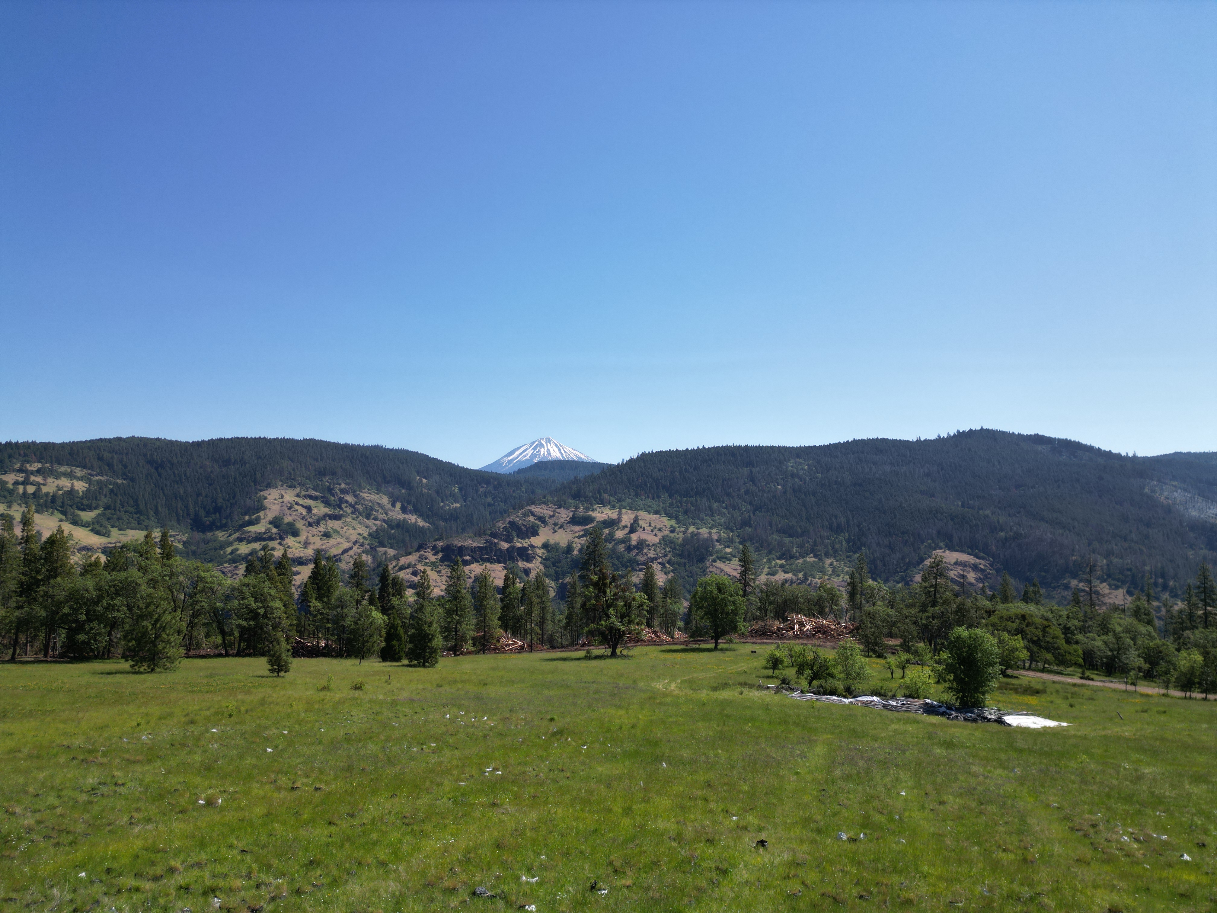 North Fork Timber