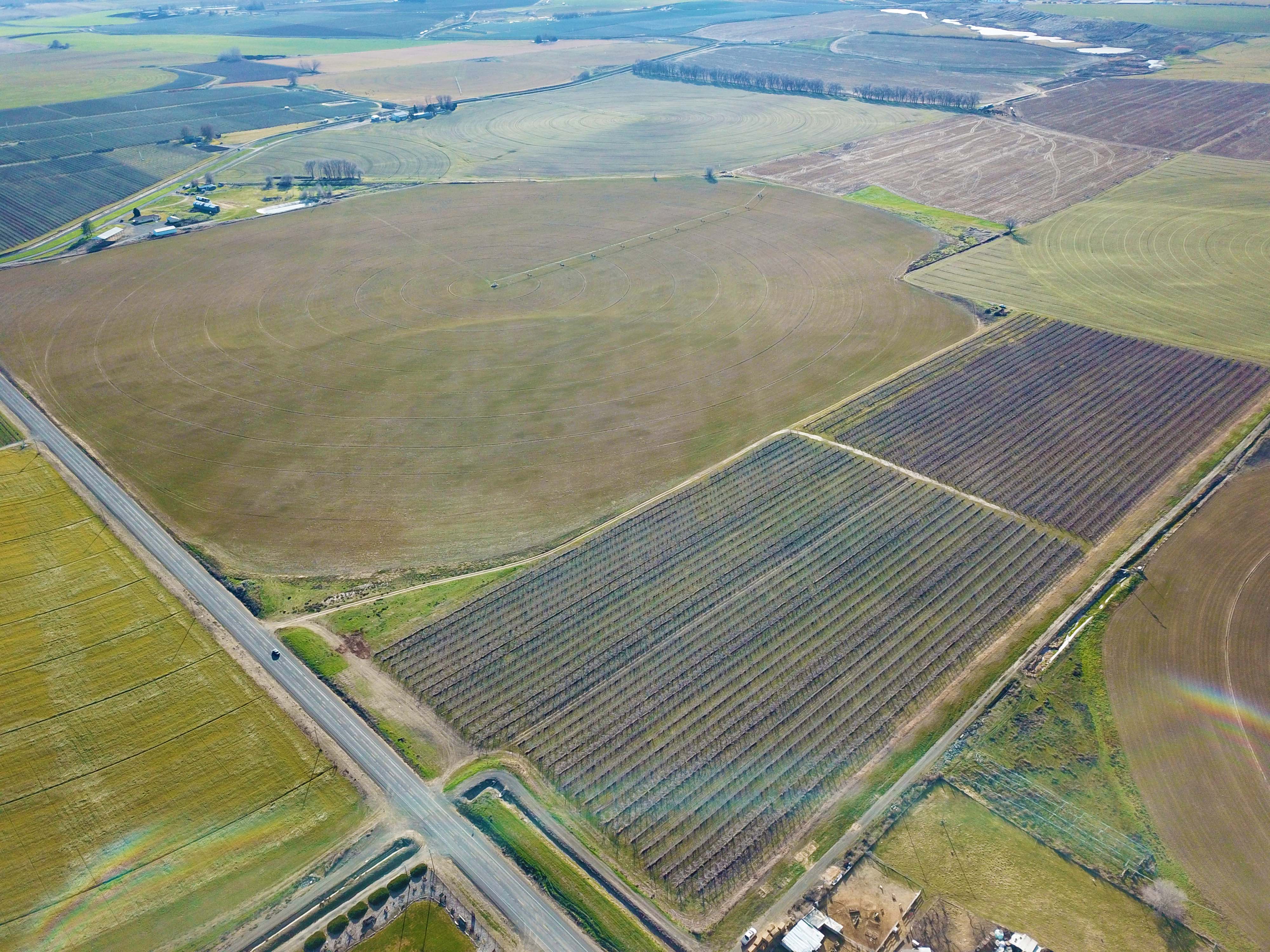 Fern Road Irrigated farm