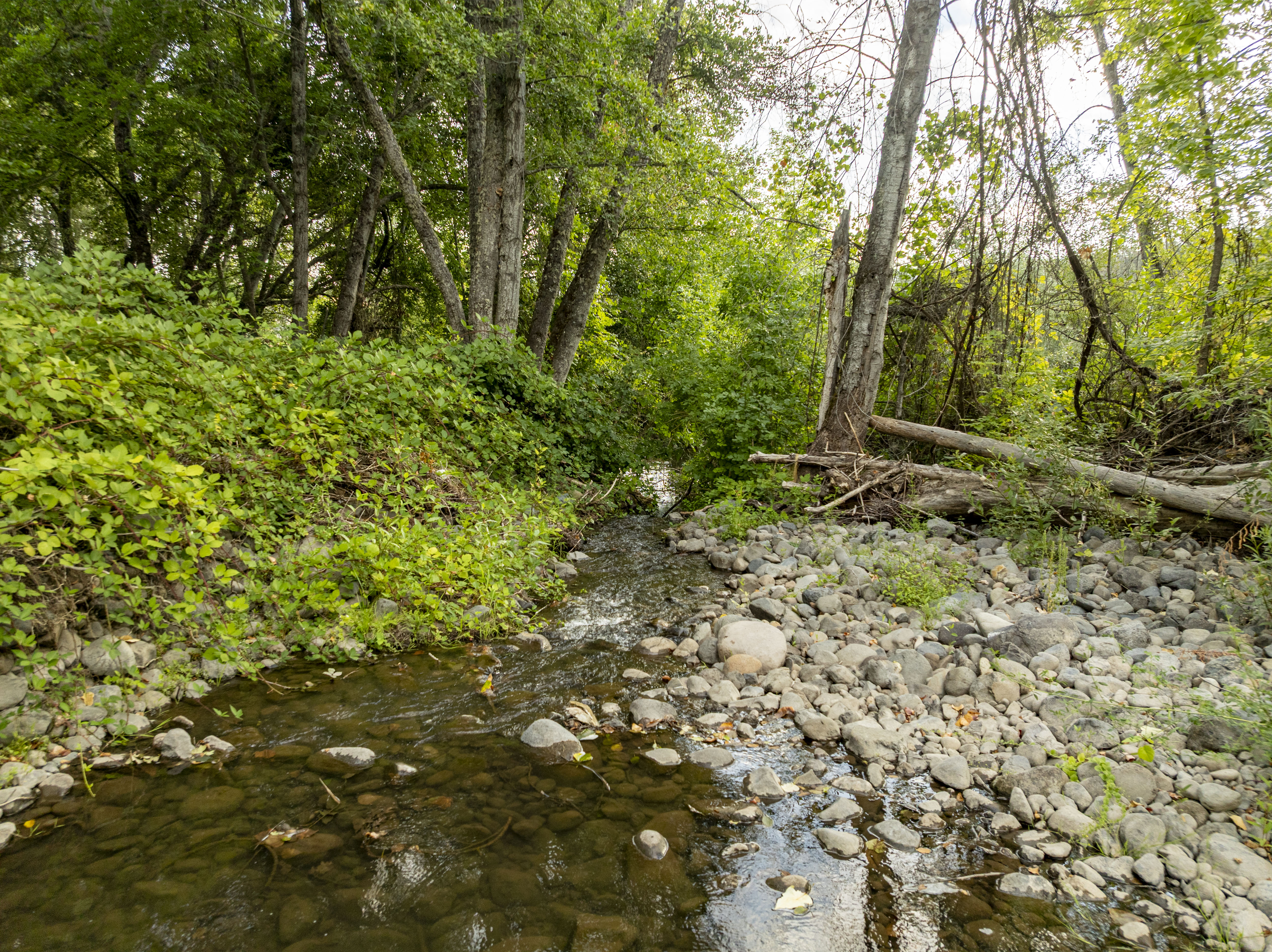 Harper Reservoir - 1631 E Antelope Rd