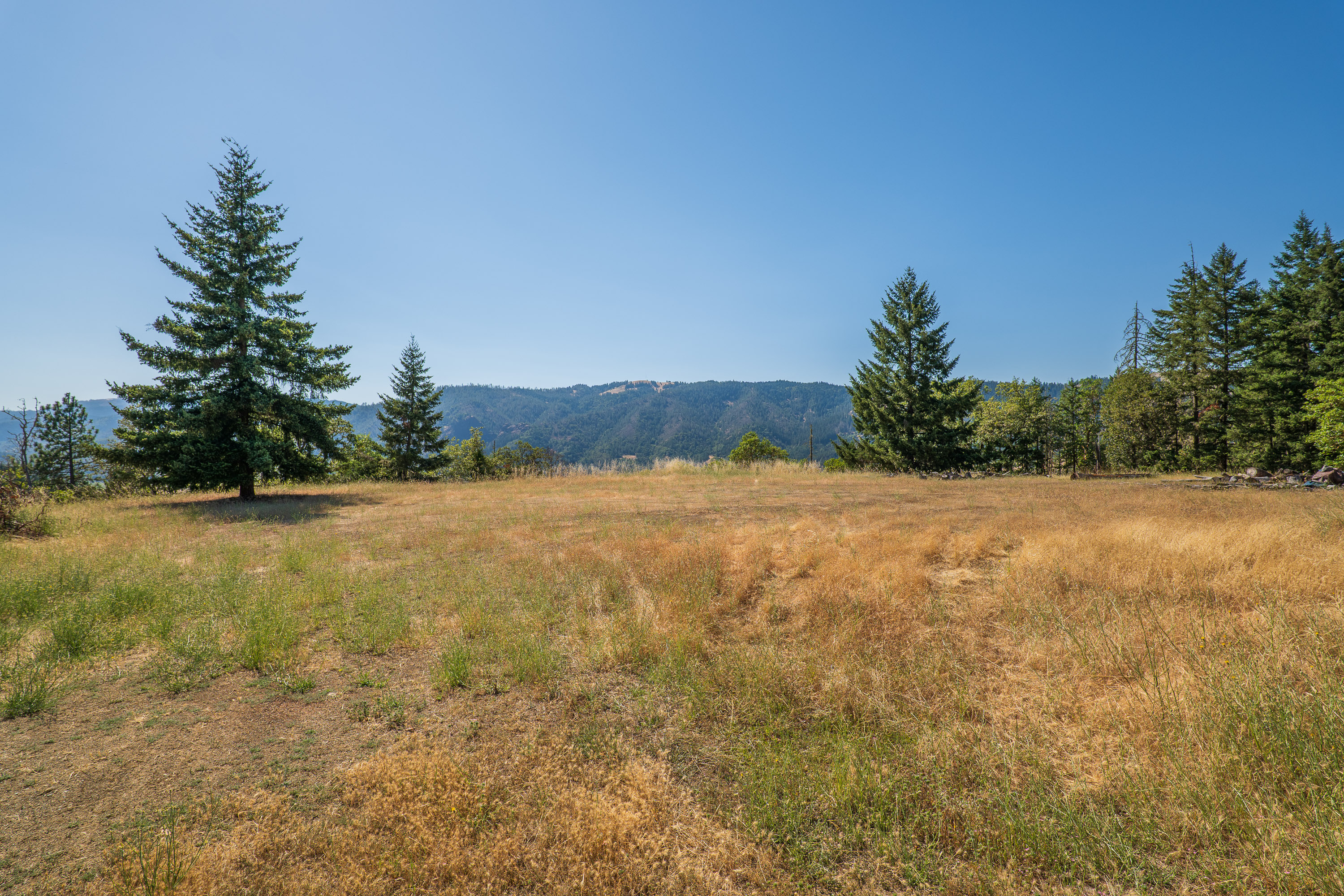 Listing Image 43
