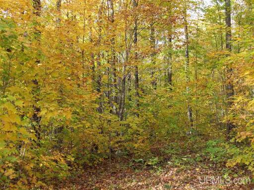 Michigan Private Lake Lot  50178194
