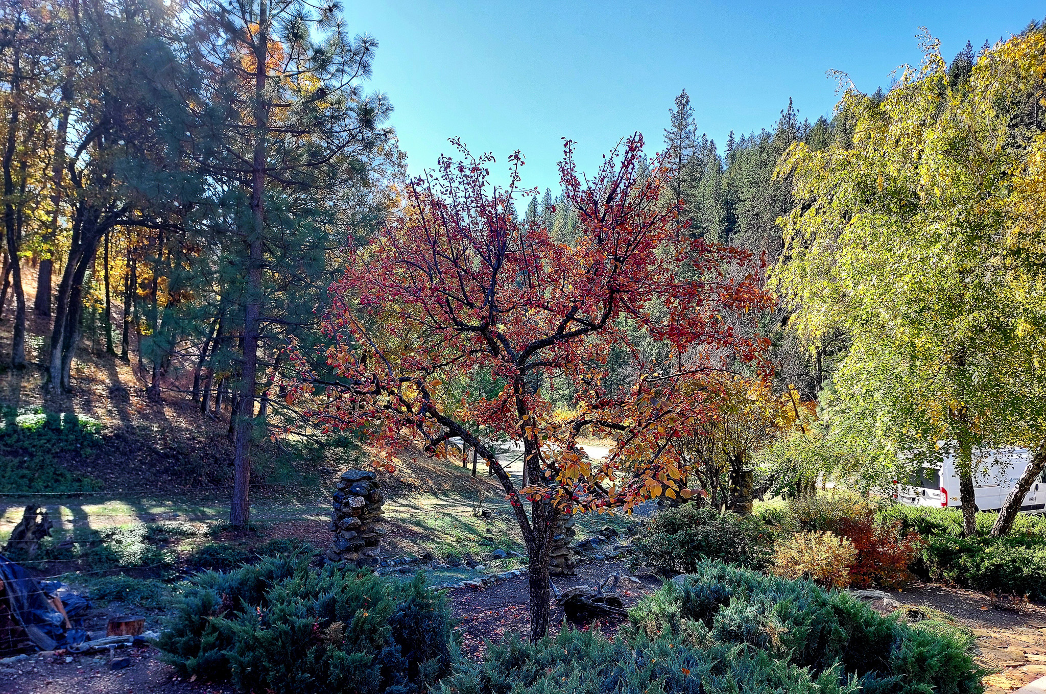 Listing Image 56
