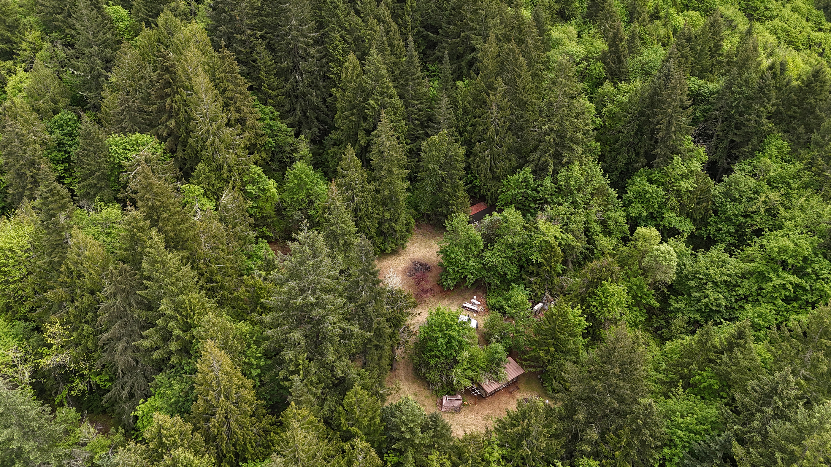 83715 Peninsula Rd Fall Creek OR