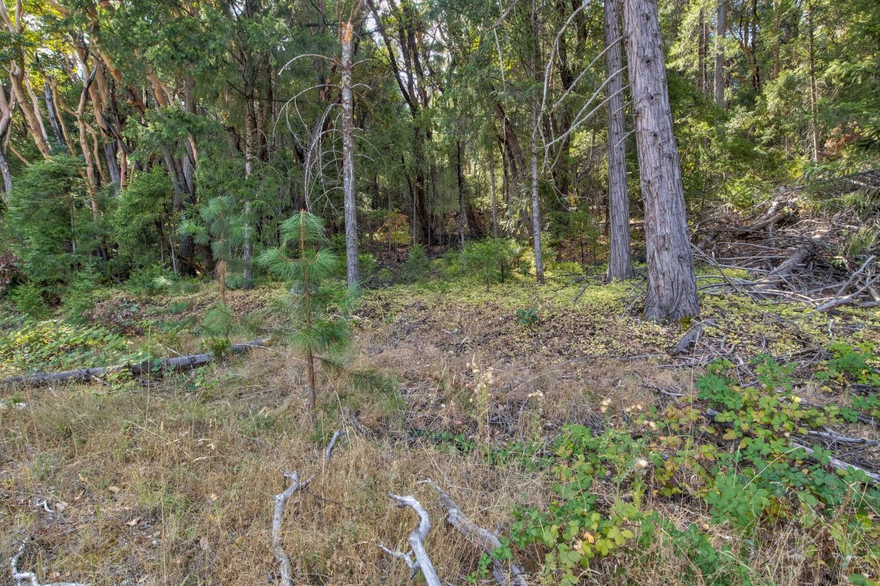 Listing Image 30