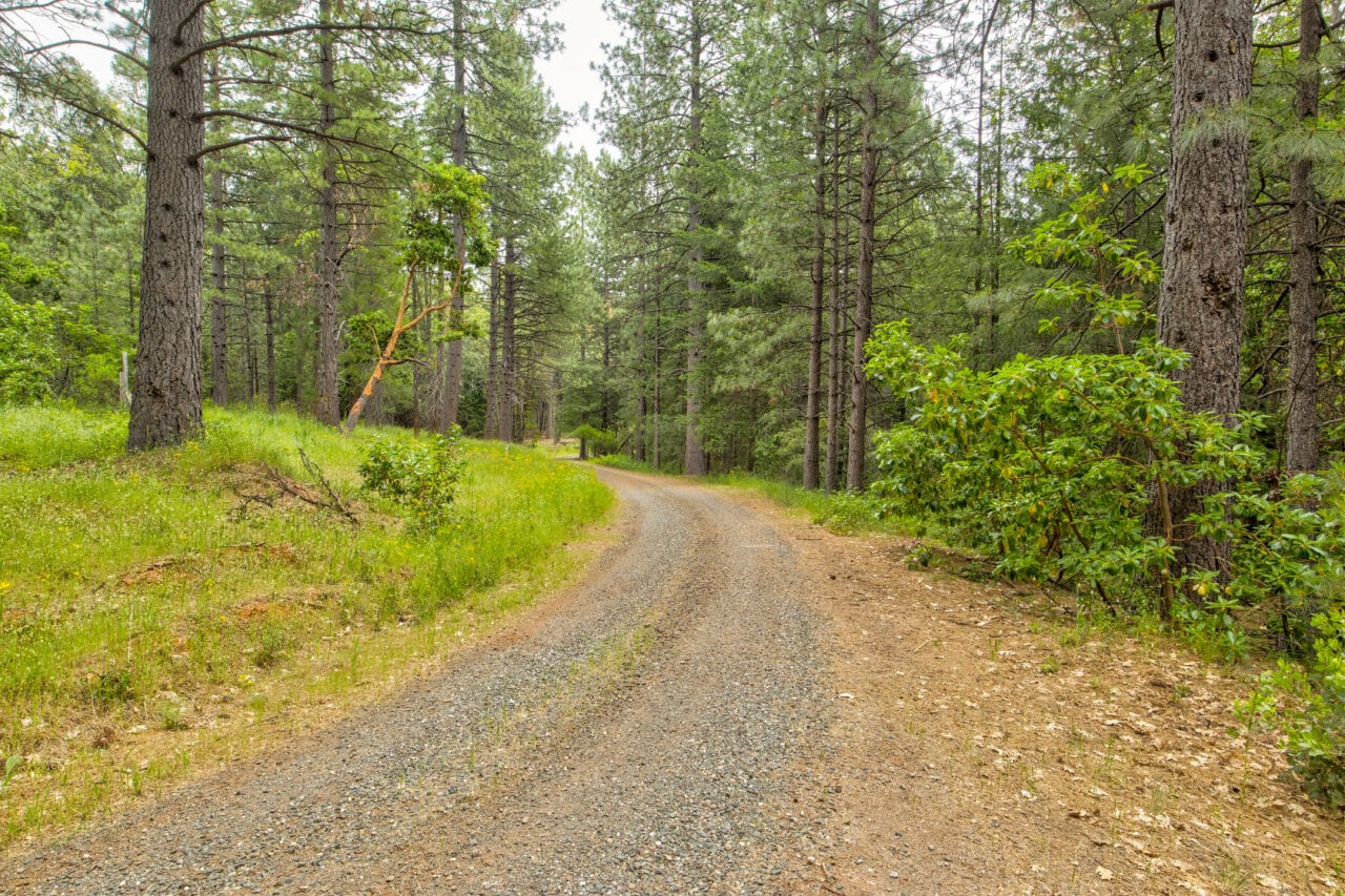 Foresthill Divide
