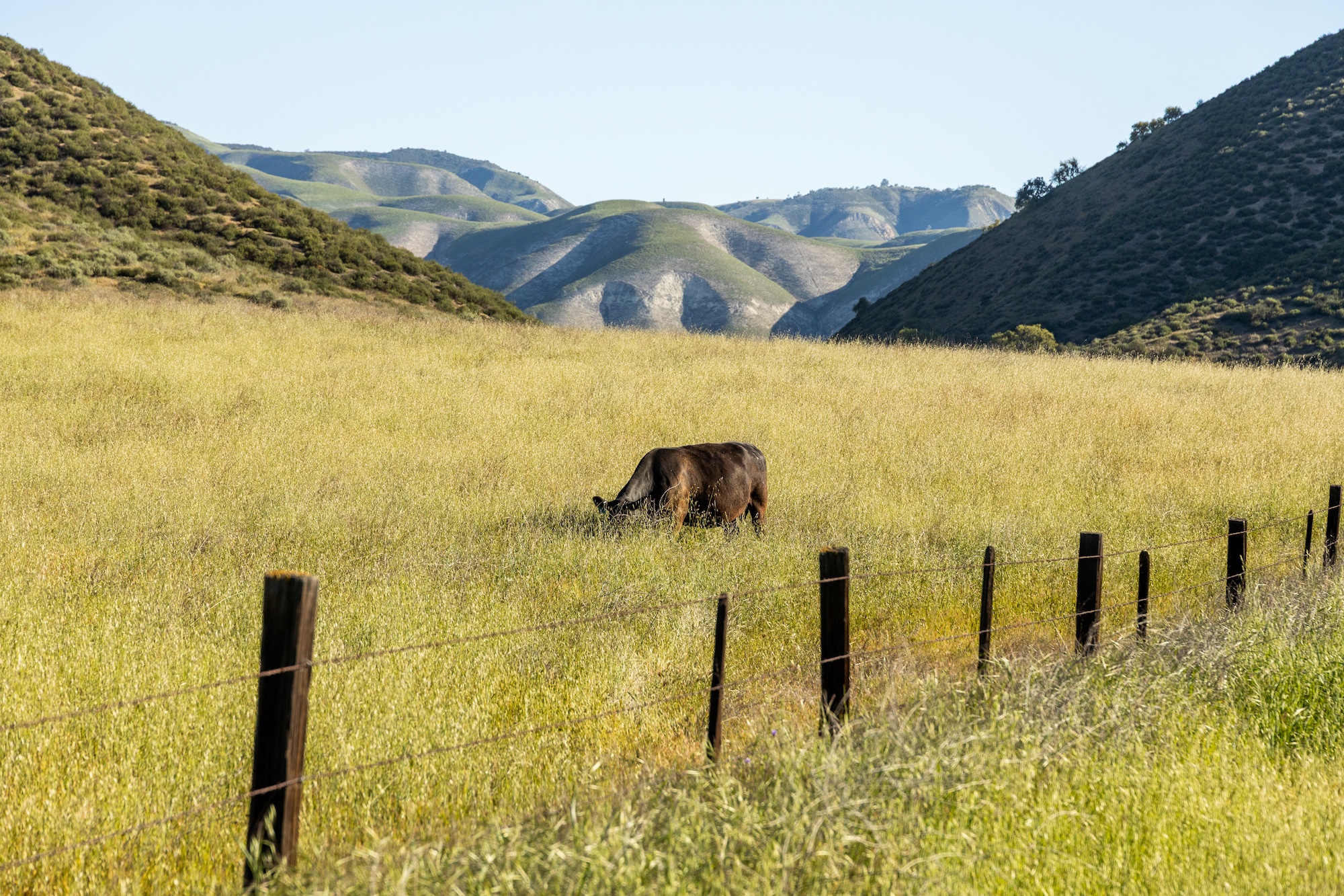Reynolds Land and Cattle Co. Ranch