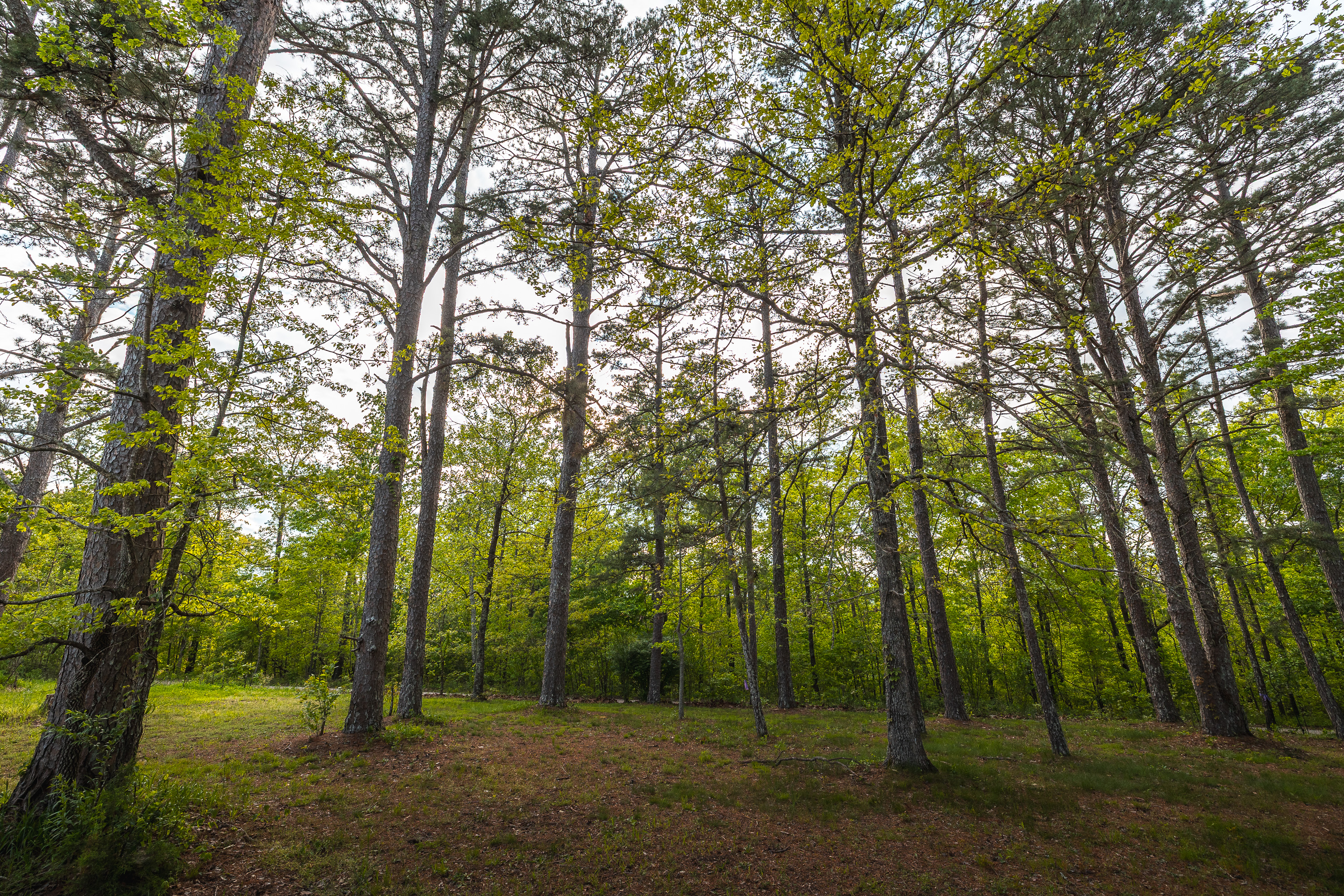 Low Wassie Winona Elk Ranch Tract 1