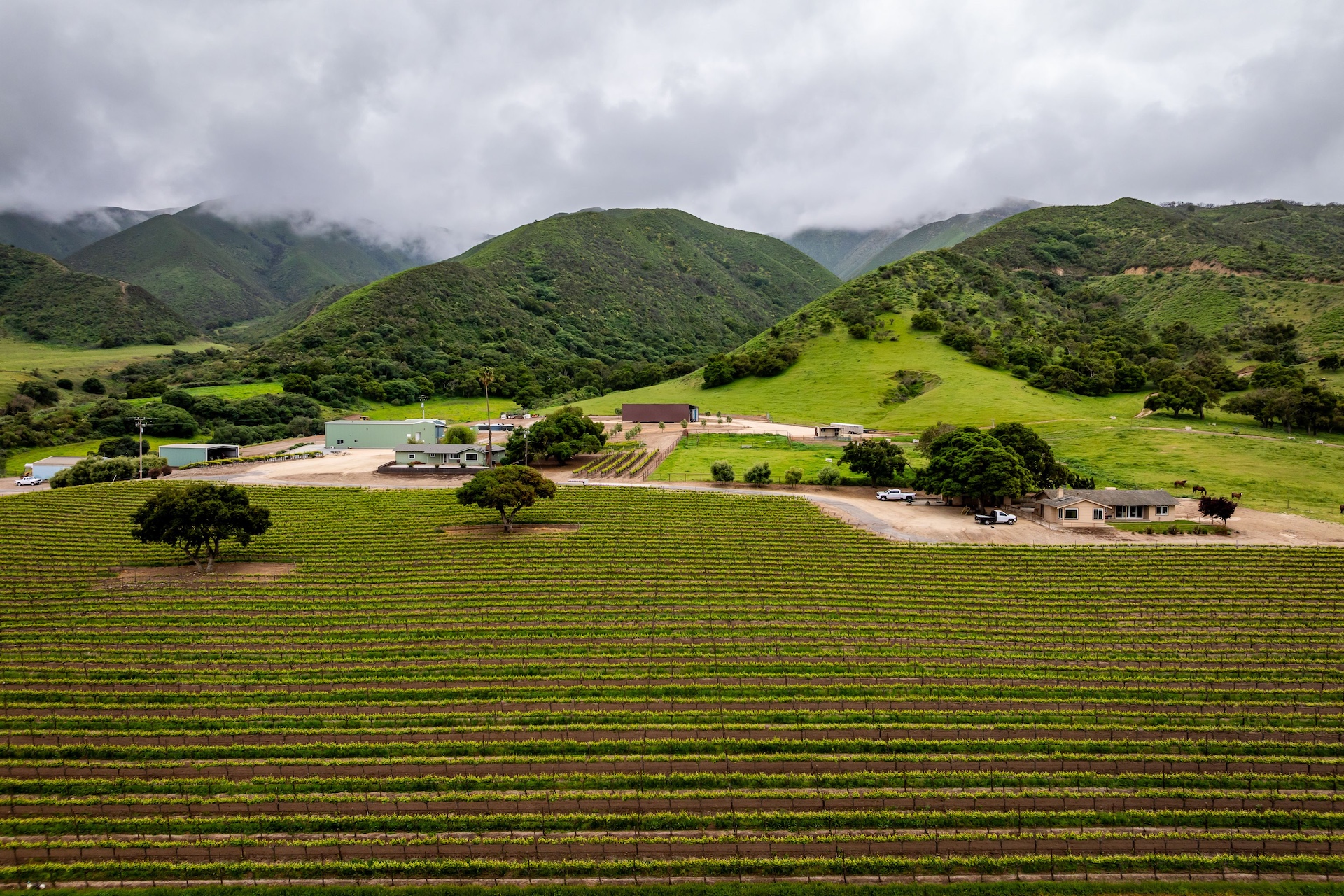 Boekenoogen Santa Lucia Highlands Vineyard