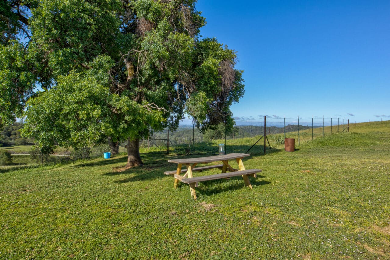 Trembath Mountain Vista