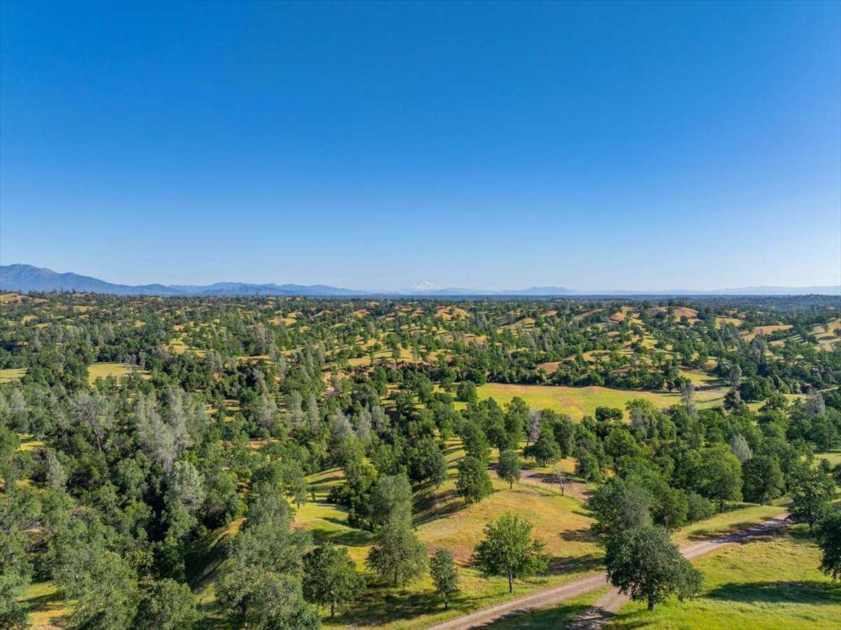 Davis Ranch Road