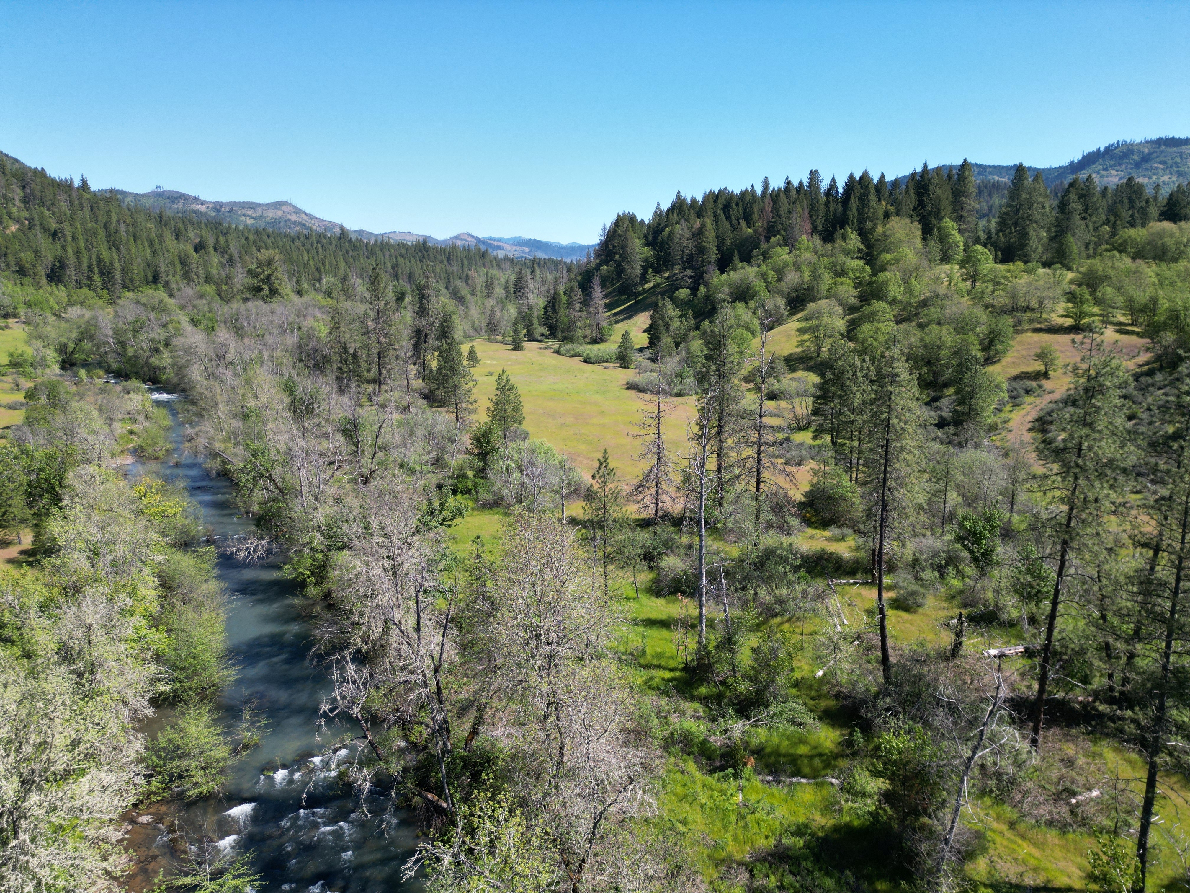 Elk Creek Road TL 2205