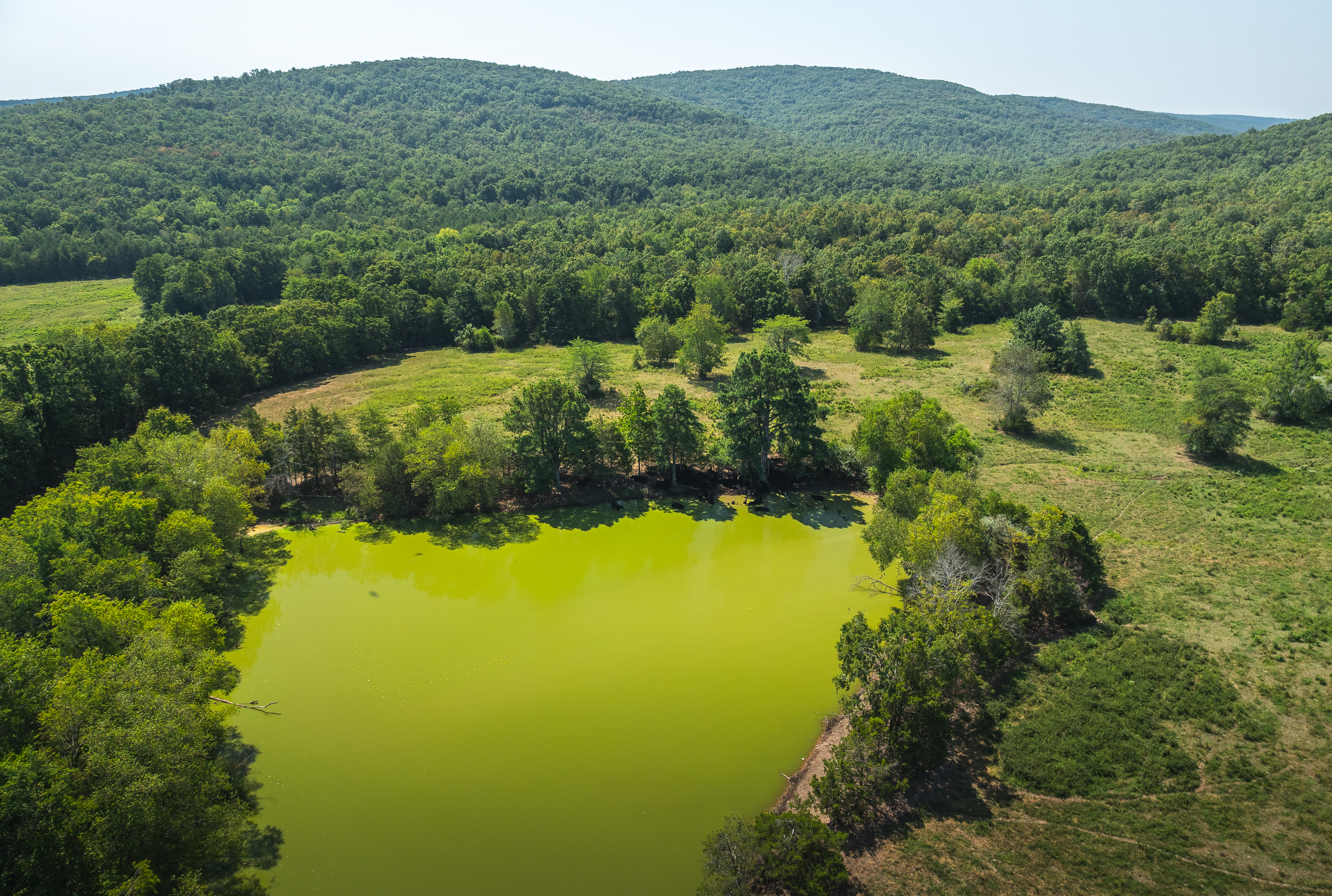 420 Acre Farm on Stouts Creek