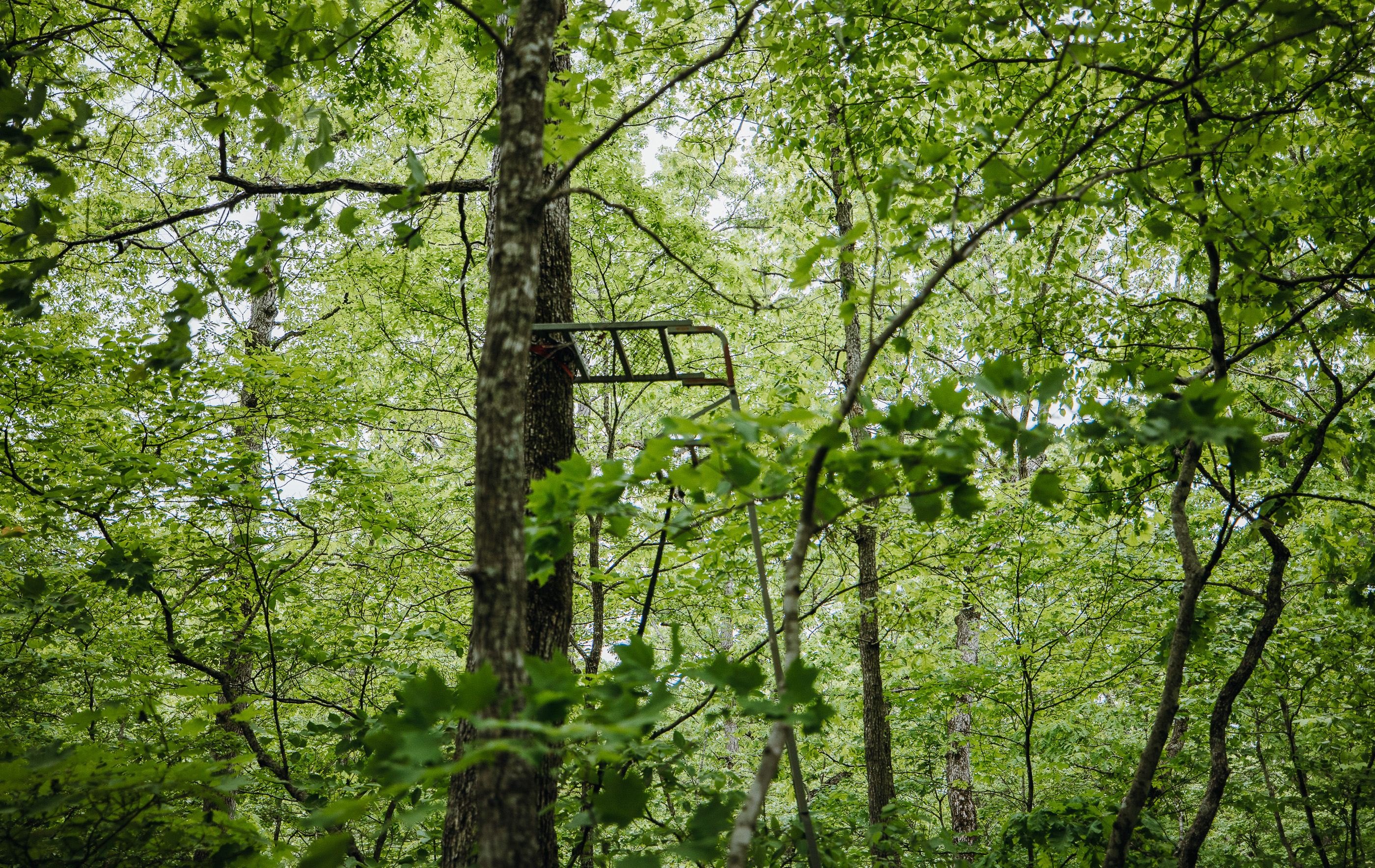 Waters Edge on the Gasconade River Tract 1