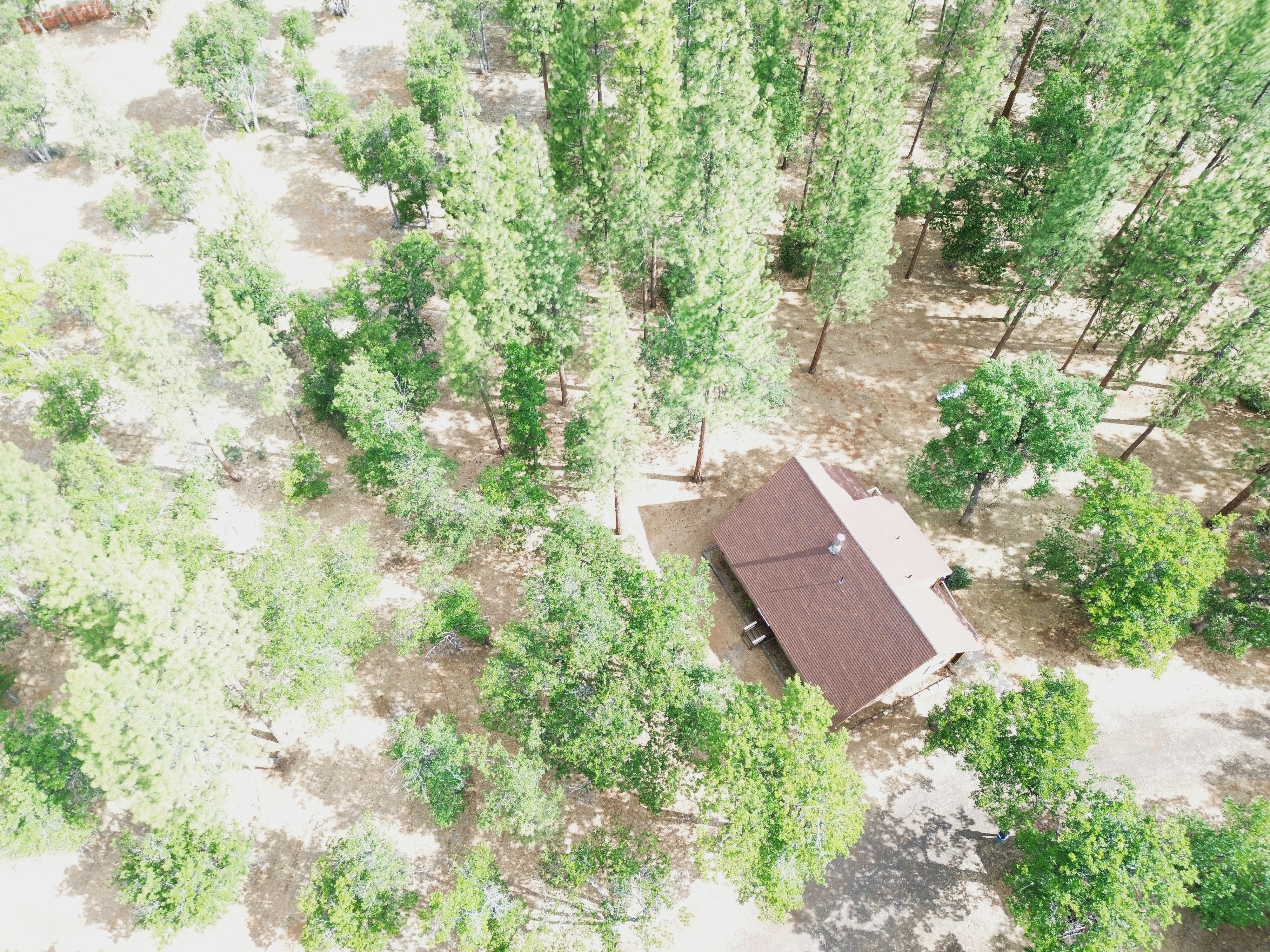 Log Home in the Pines