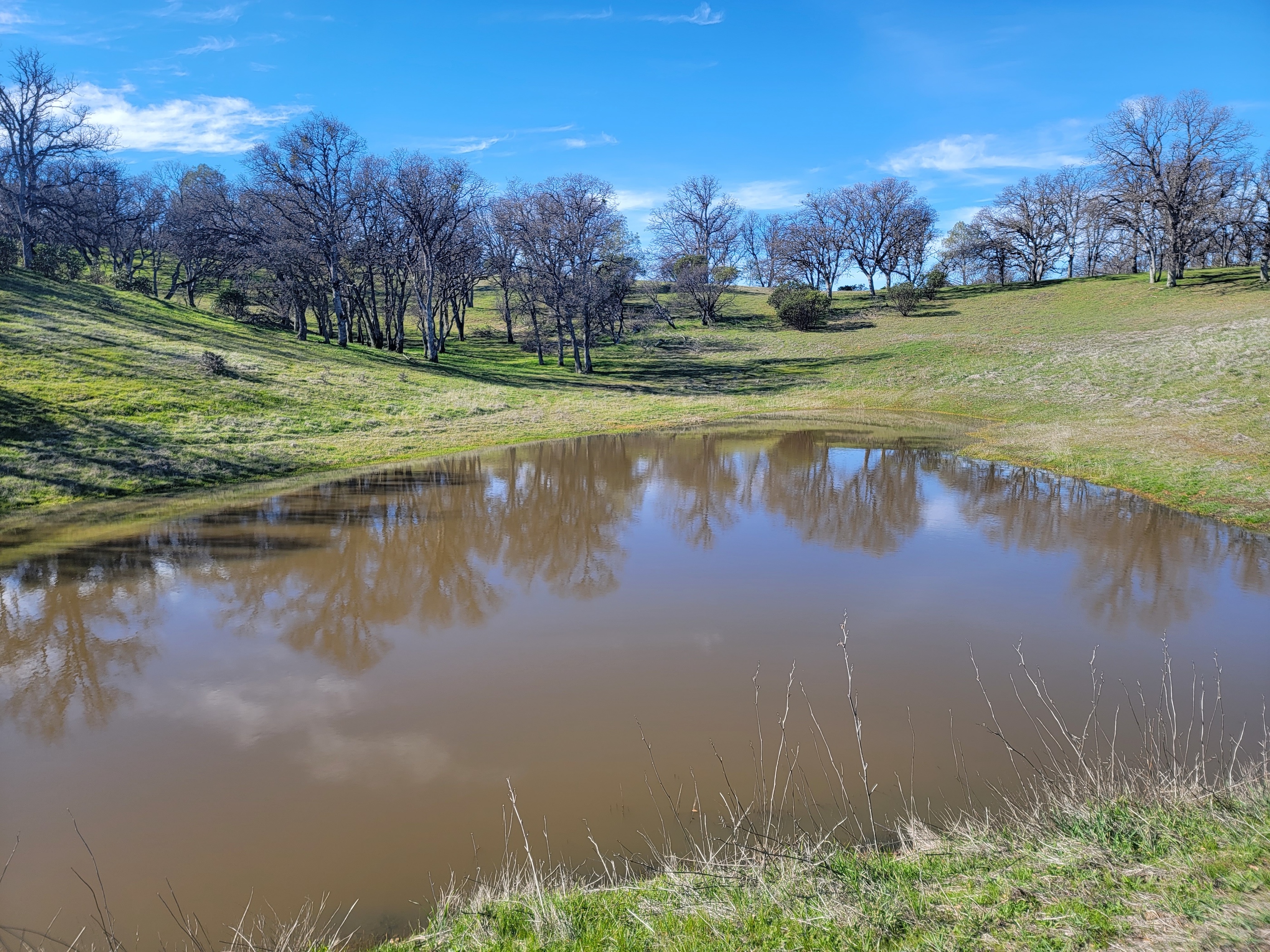 Lake County Ranch