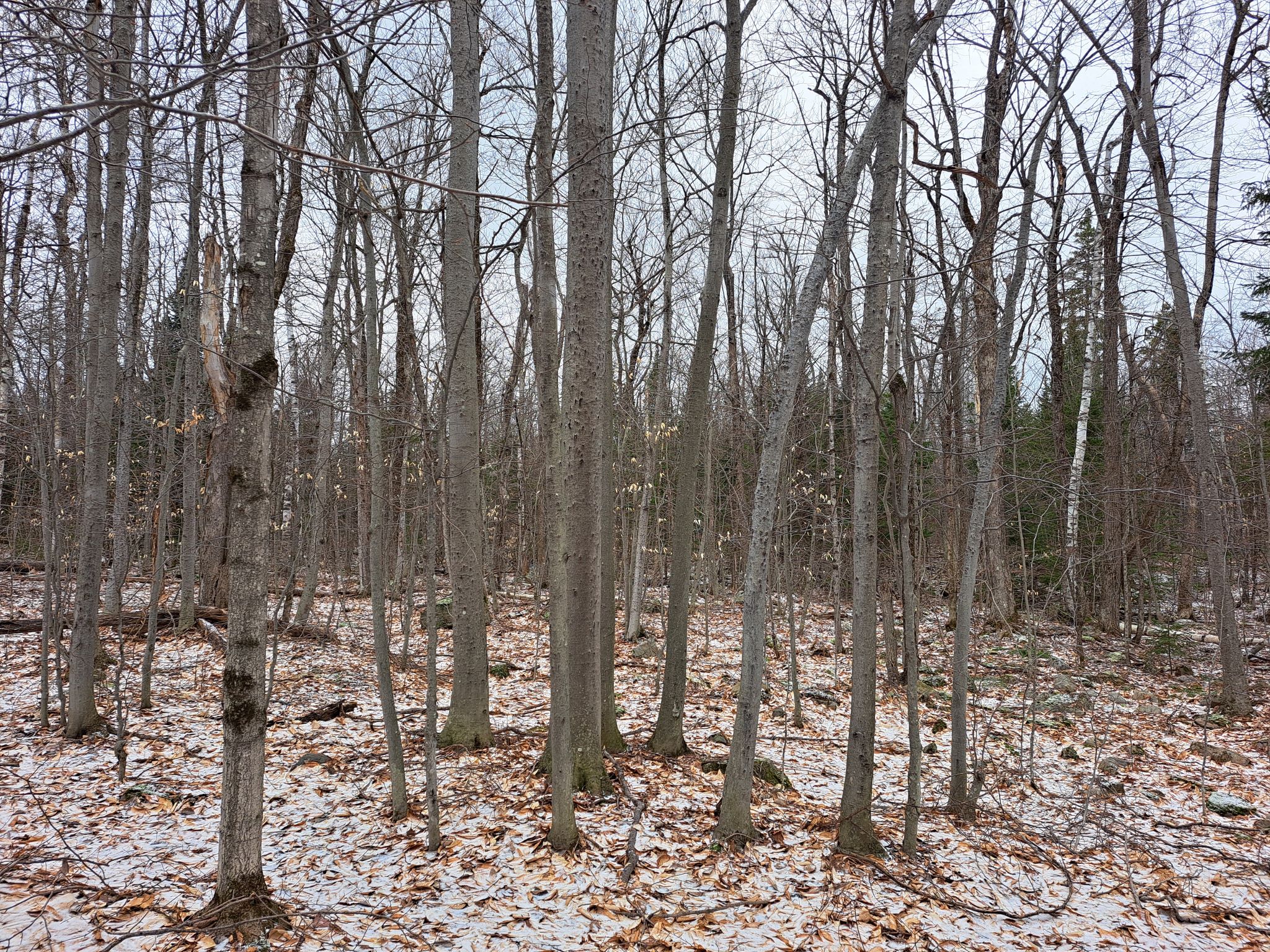 Listing Image 20