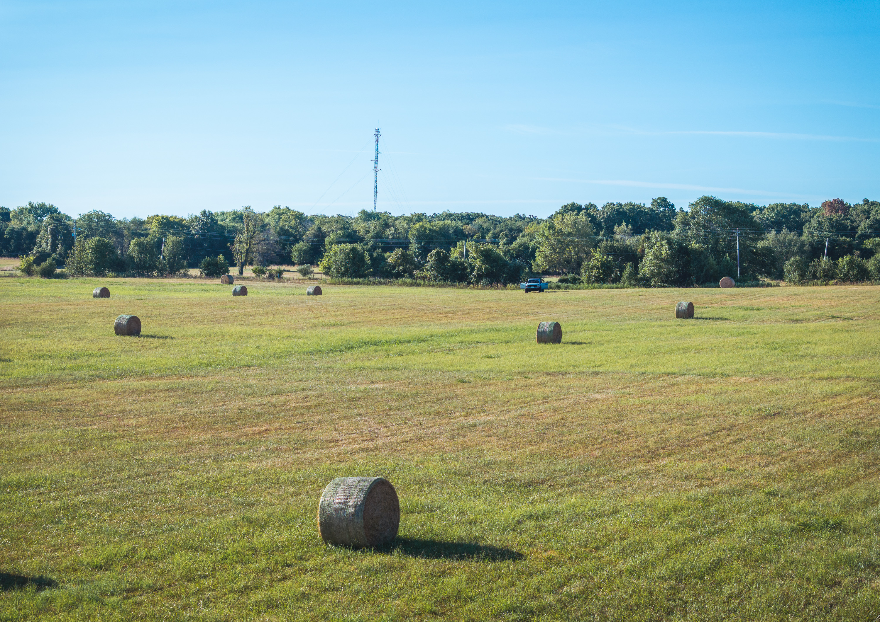 Listing Image 18