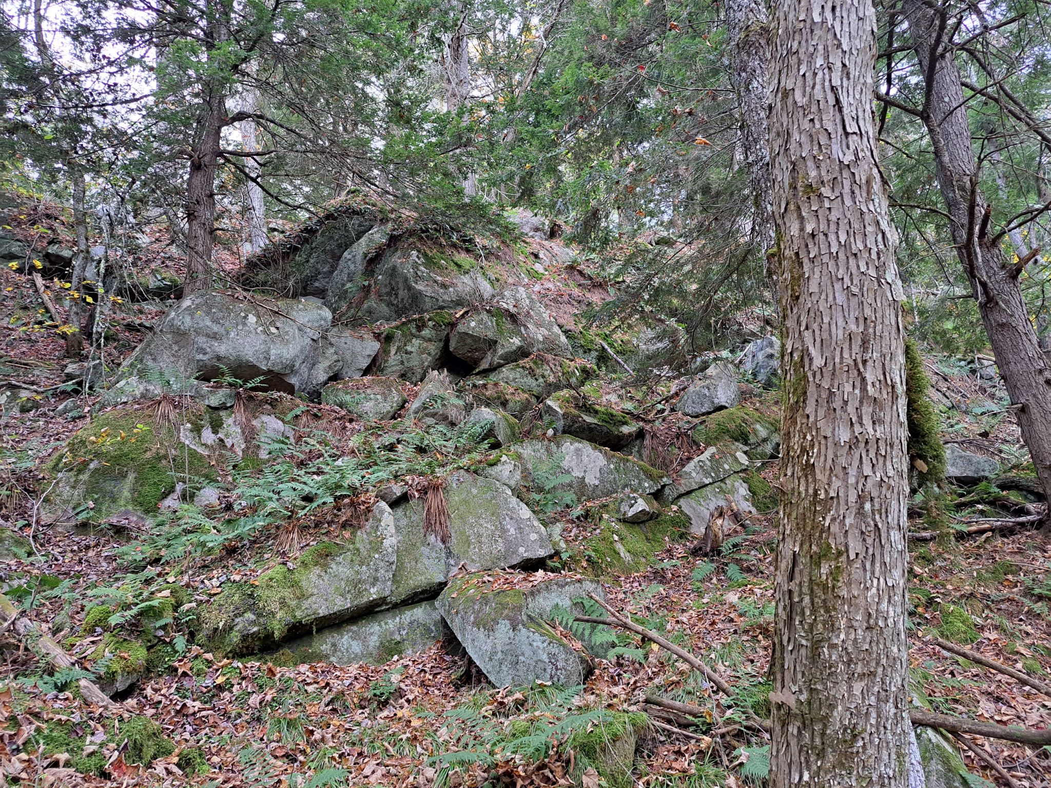 Hudson River Woods & Water