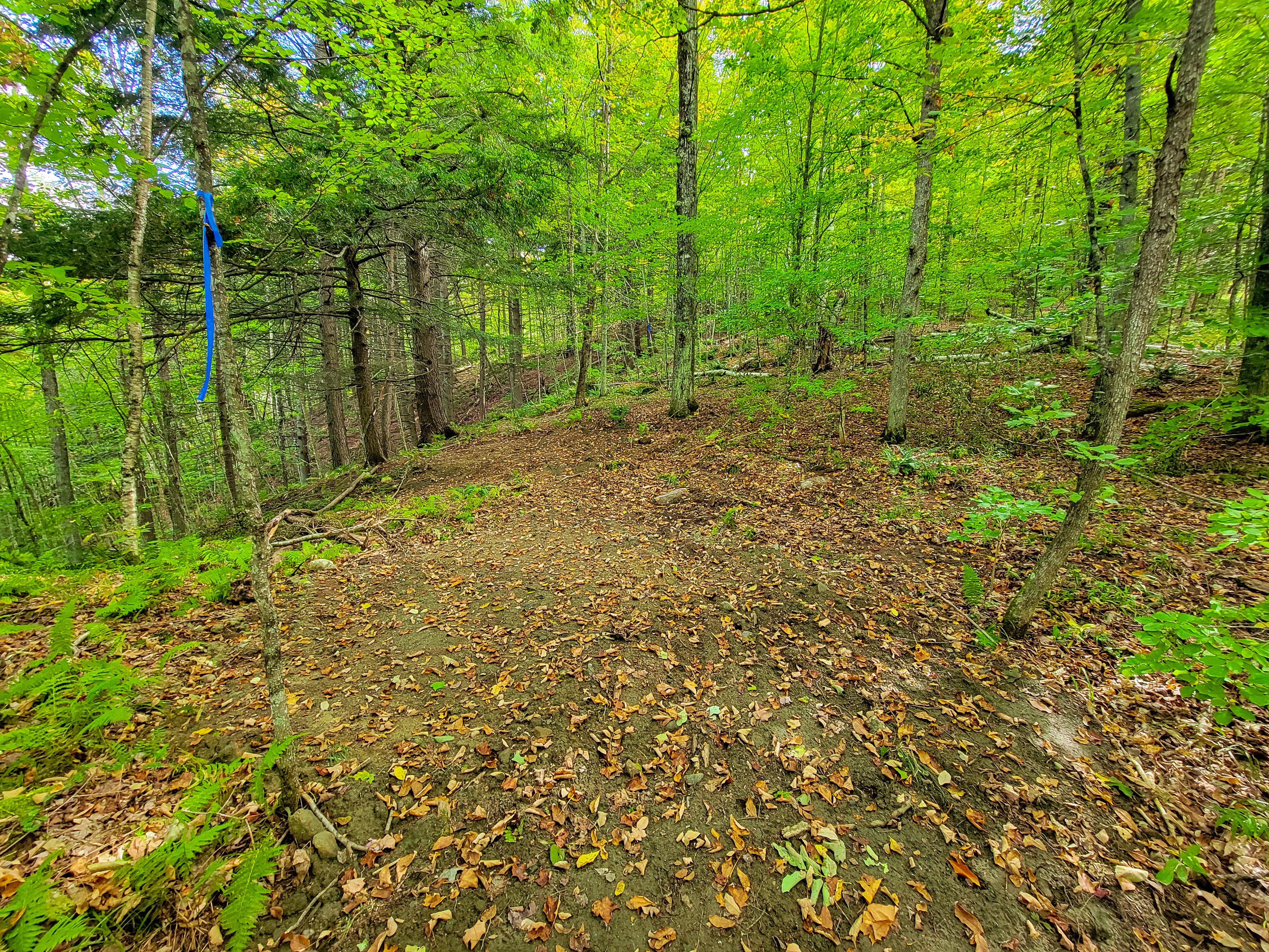 Listing Image 55