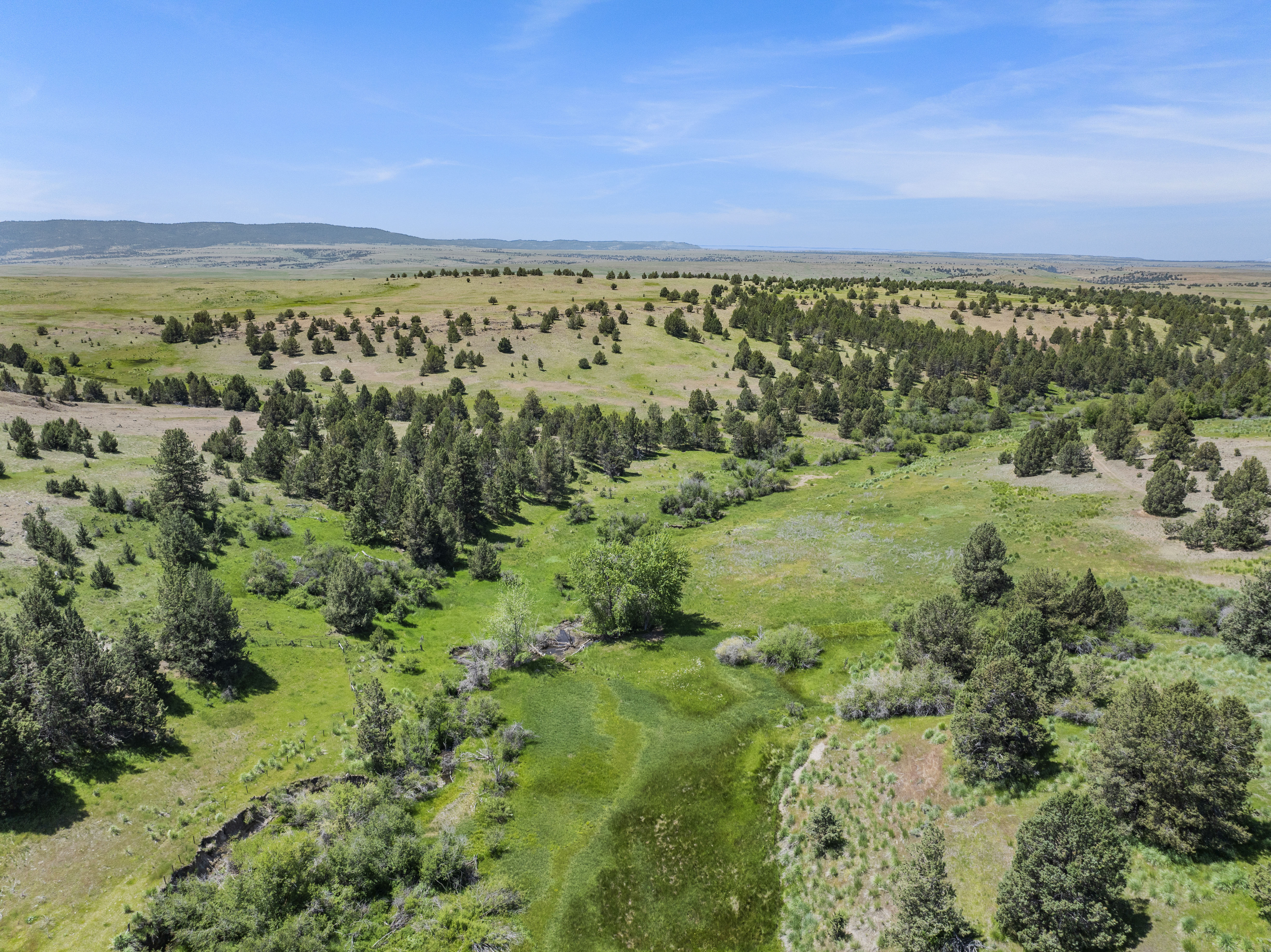 Listing Image 48