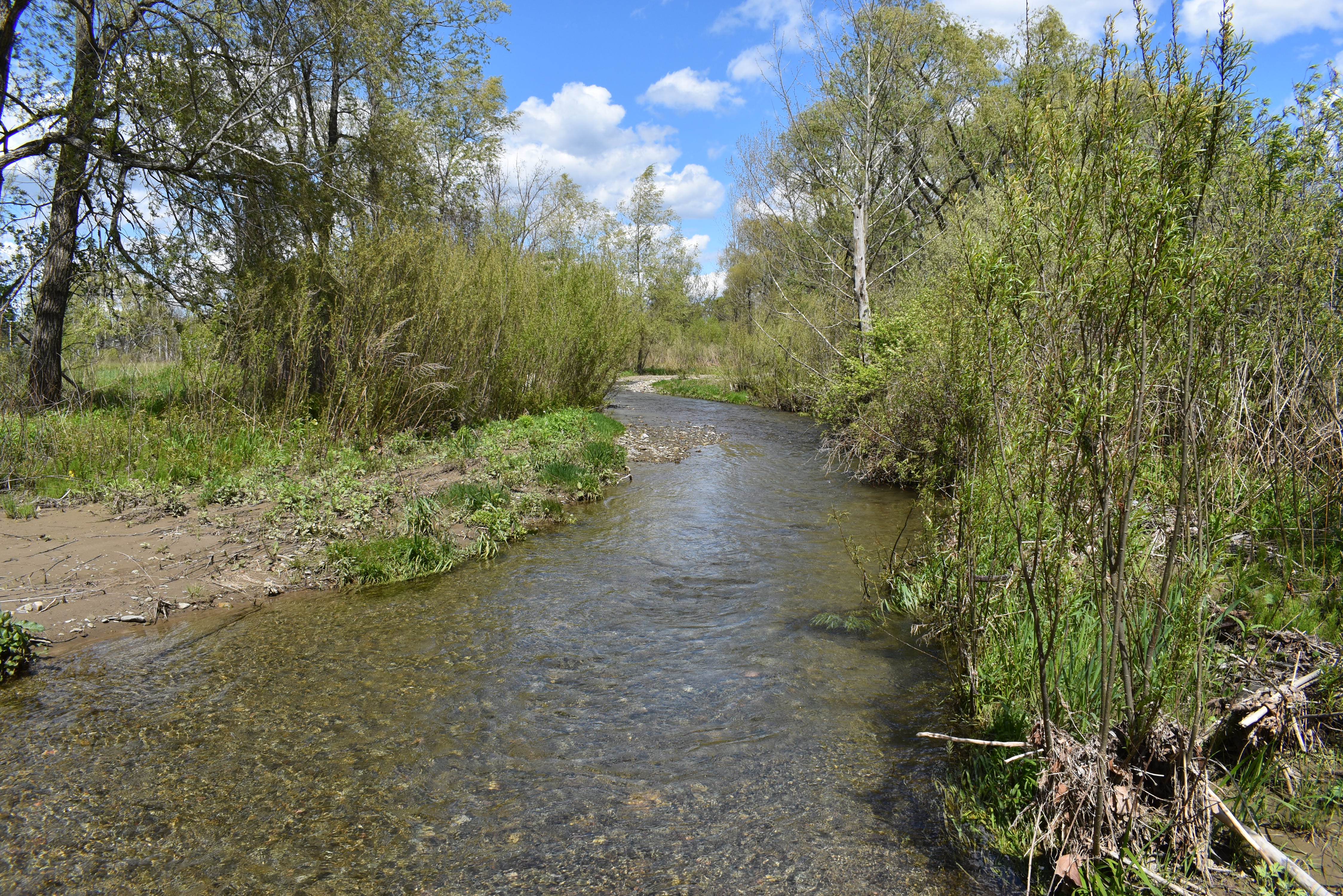Listing Image 41
