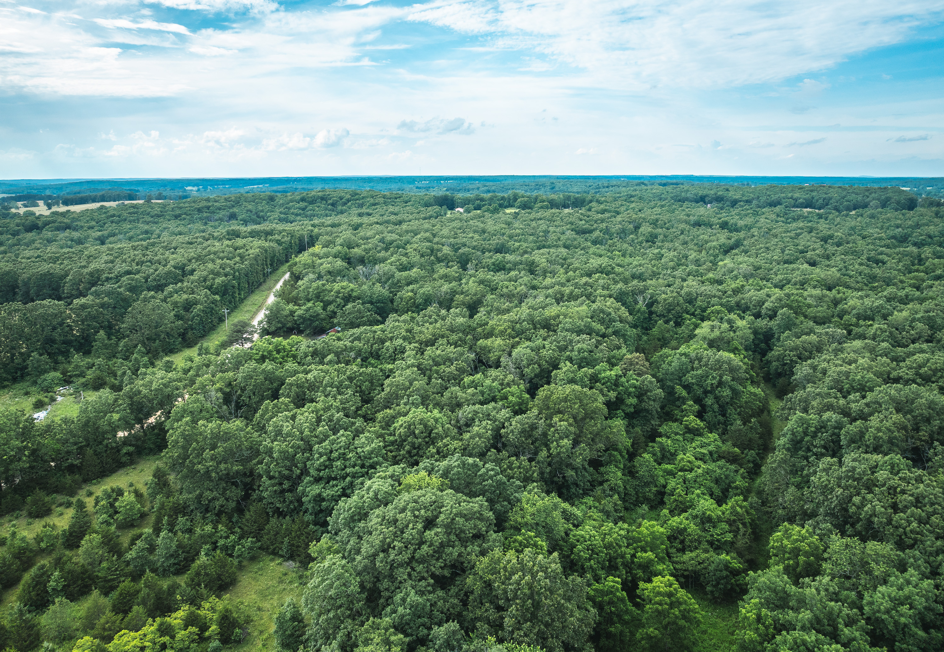Kimble Glade