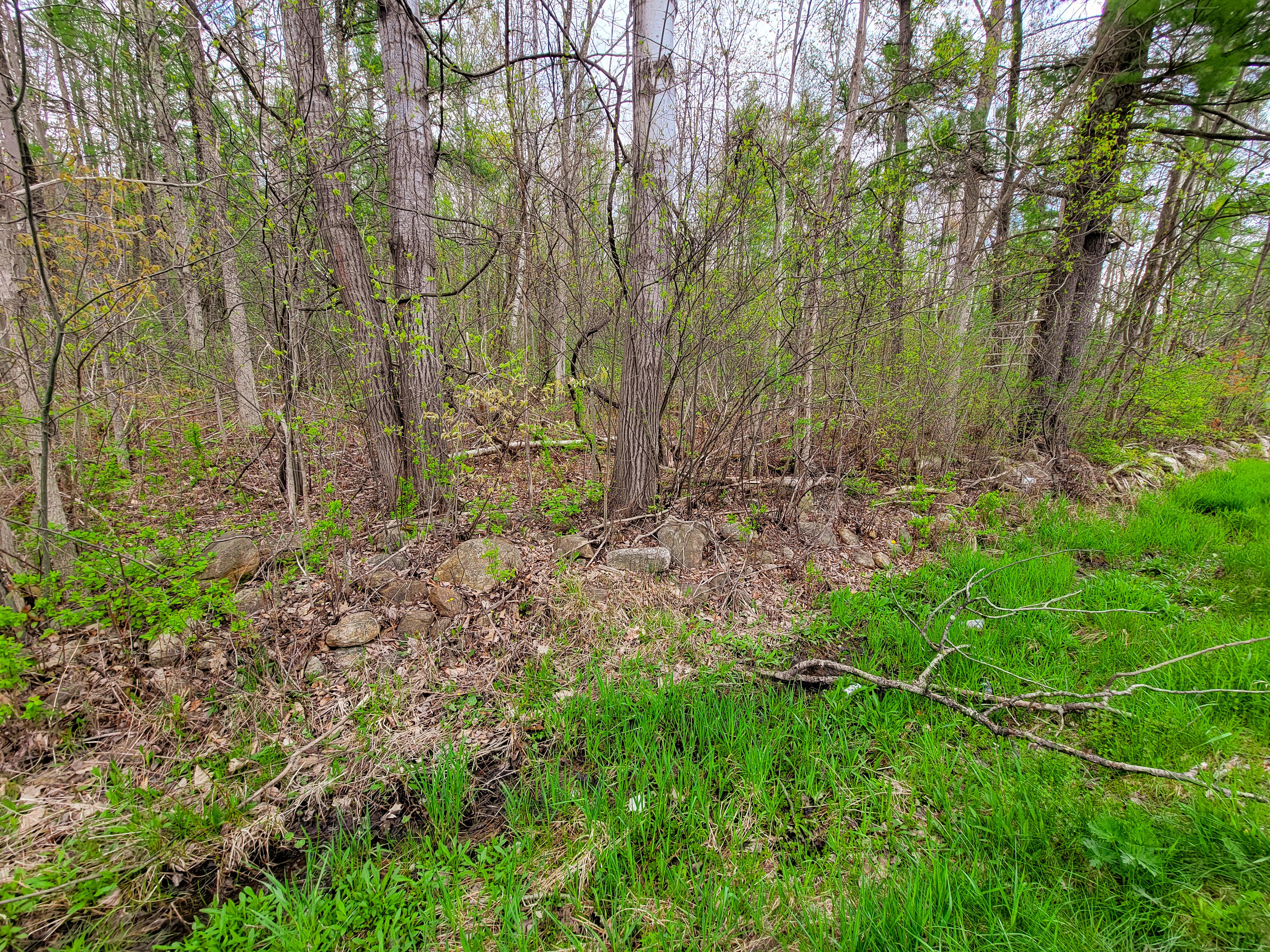 Listing Image 17