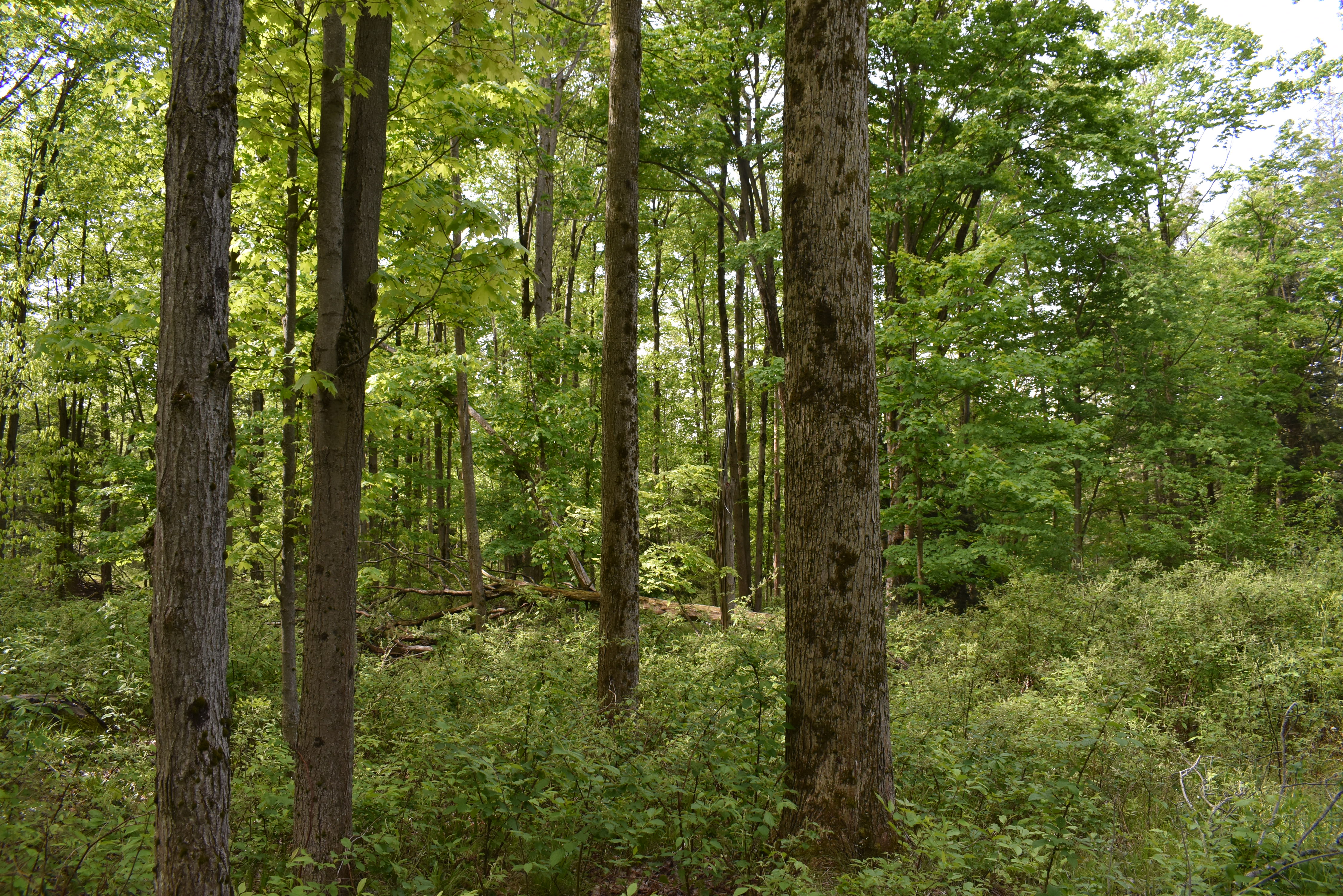 Listing Image 17