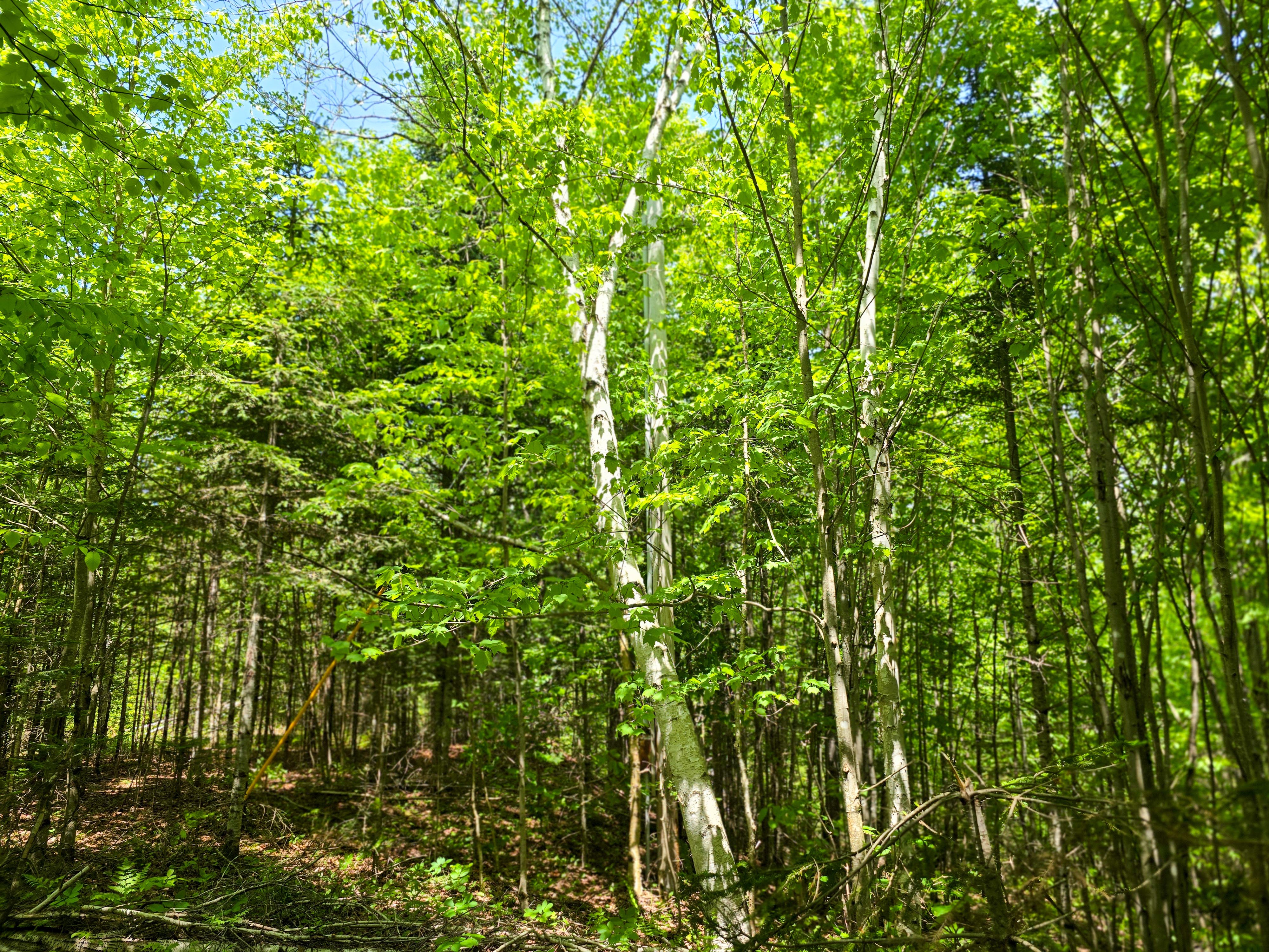 150 Spur Rd - Bloomfield