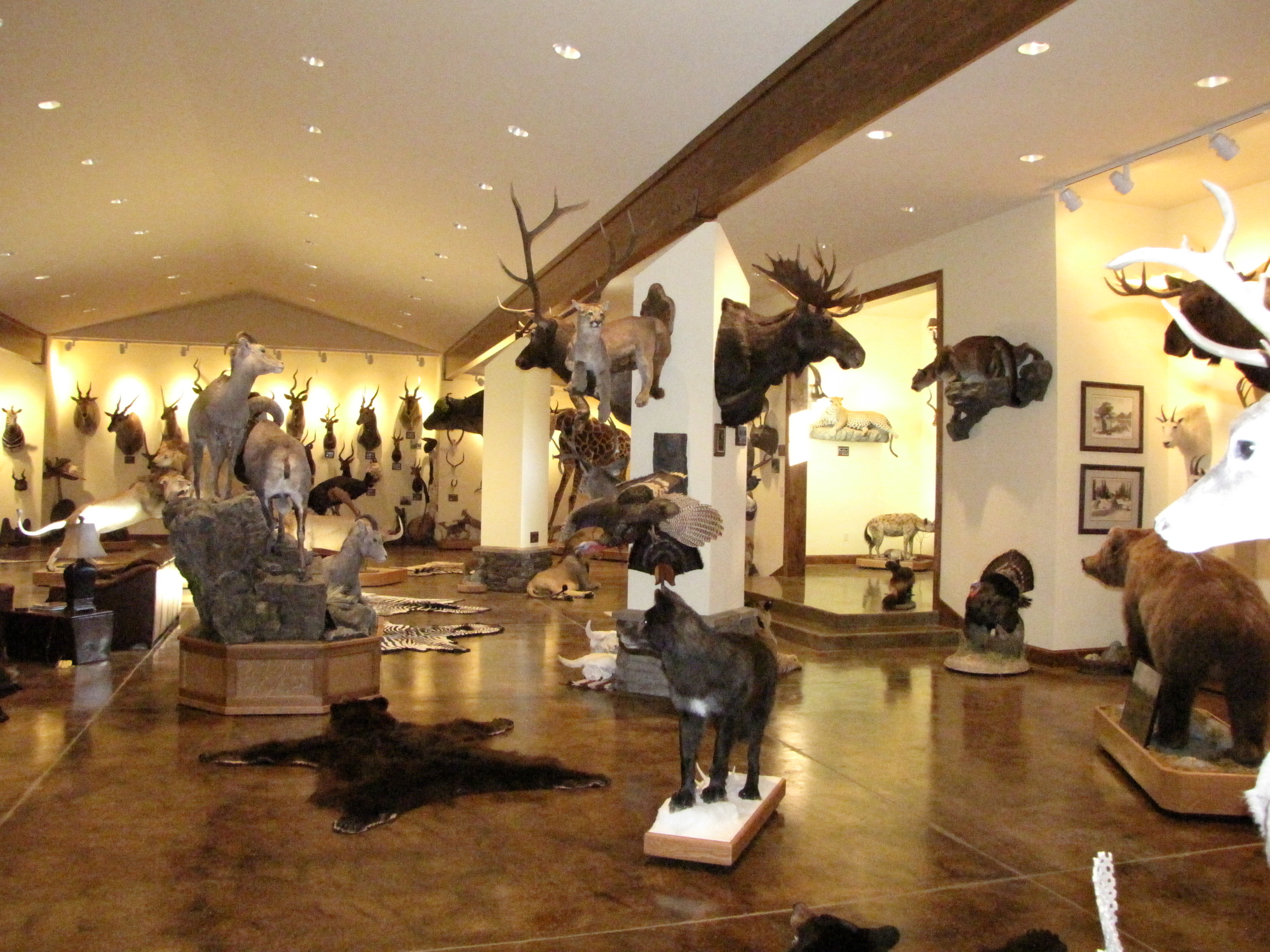 Listing Image 11