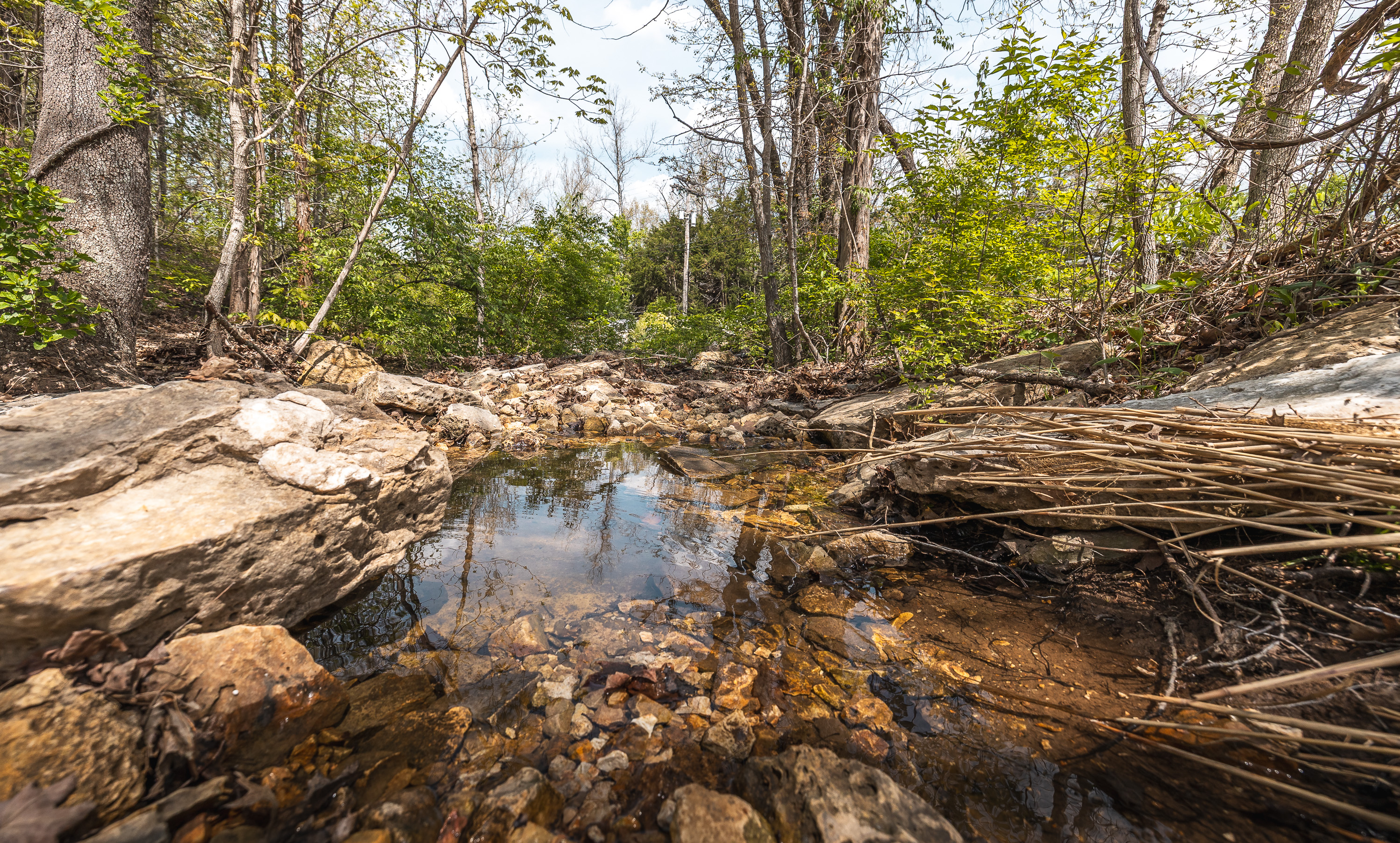 Hawkwood Trail