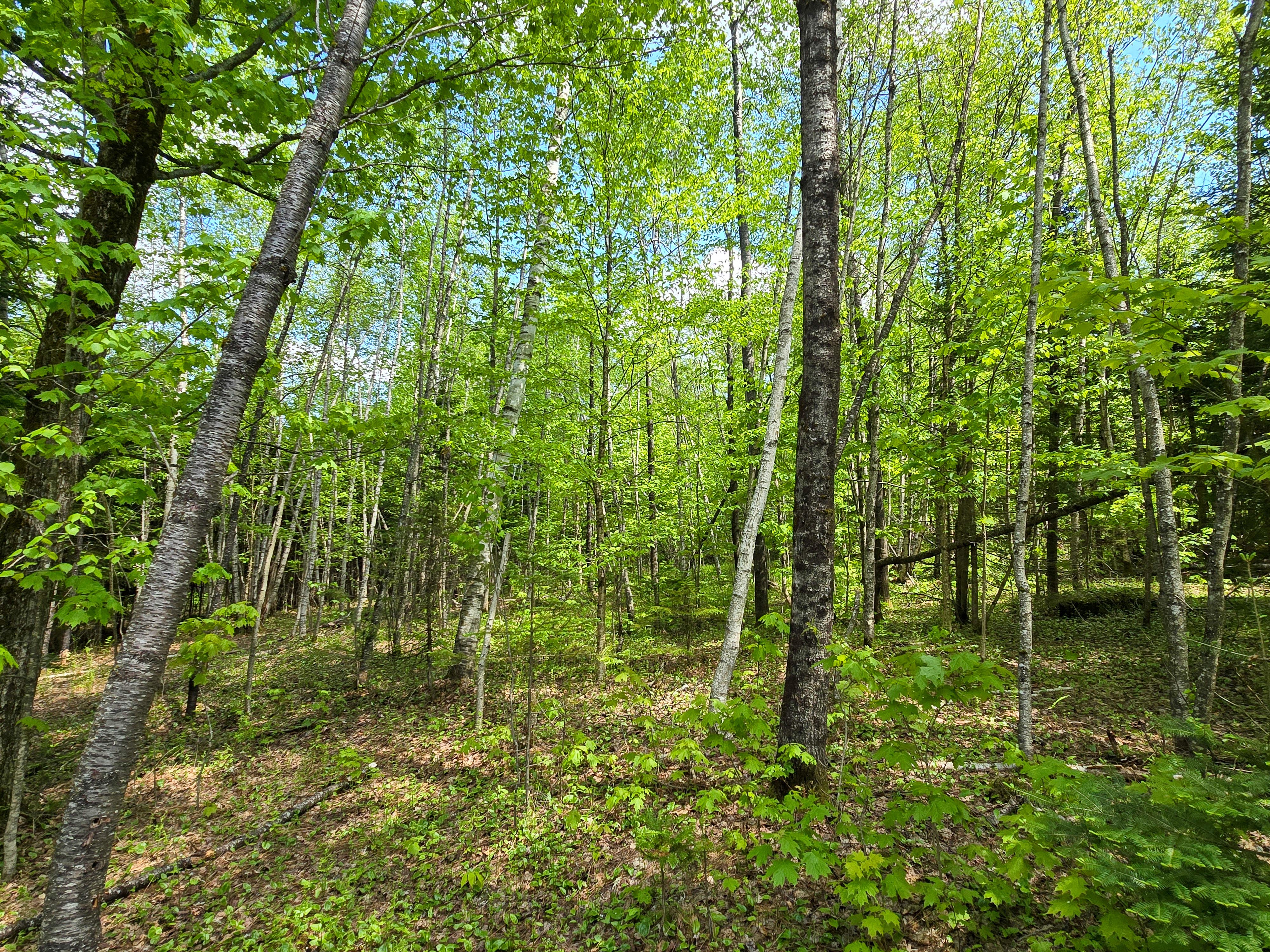 Listing Image 41