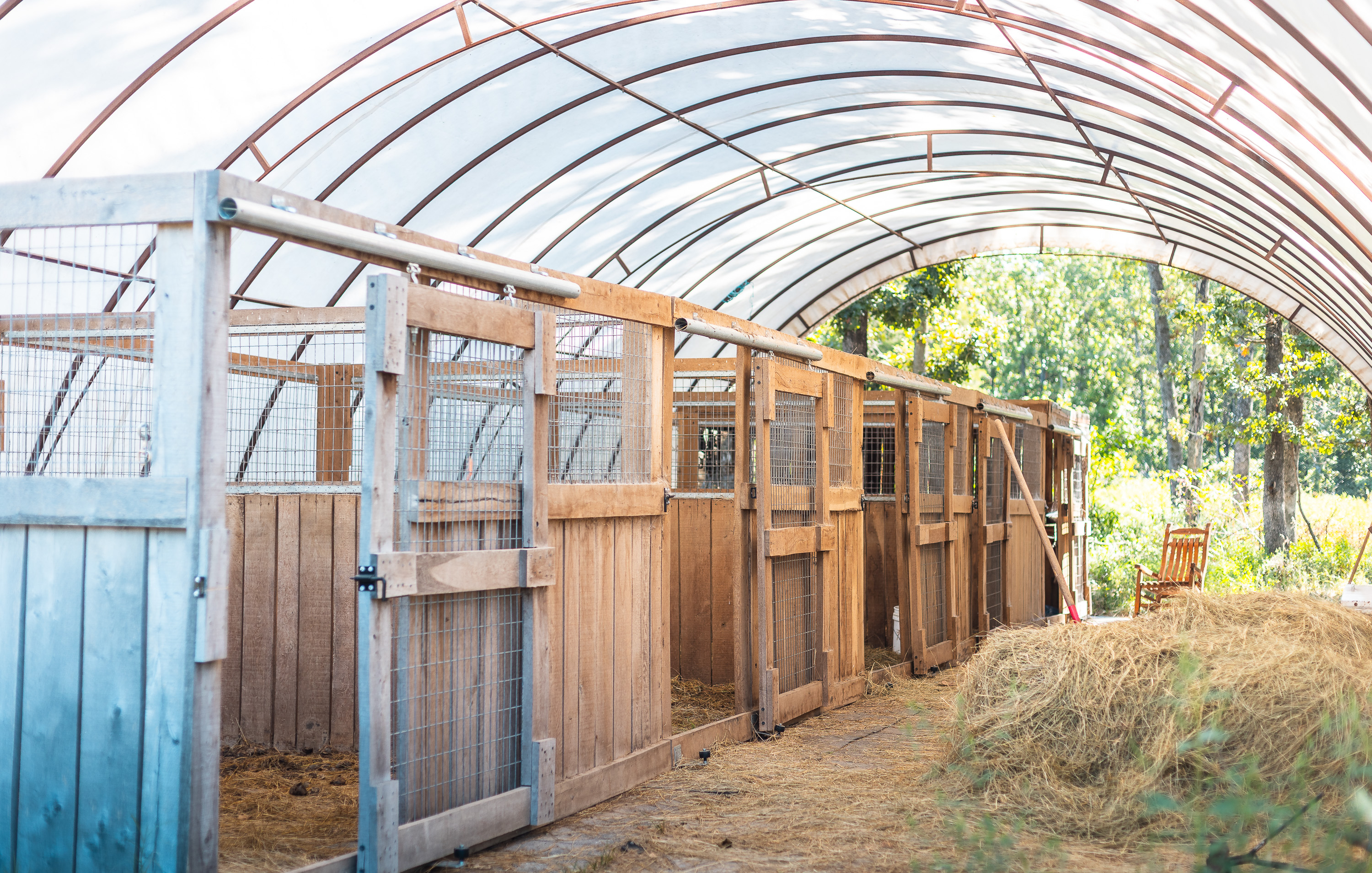 Cage Free Chicken Farm
