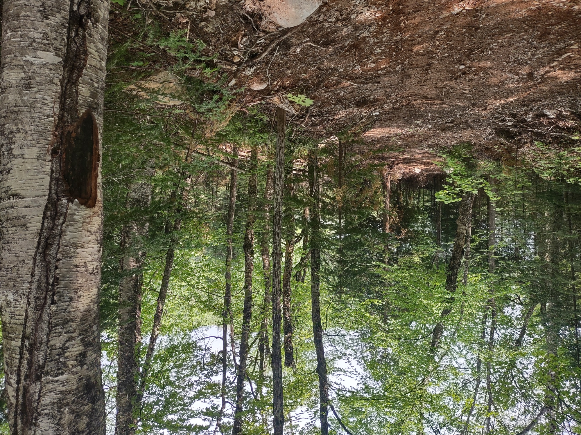 Michigan Private Lake Lot  50178194